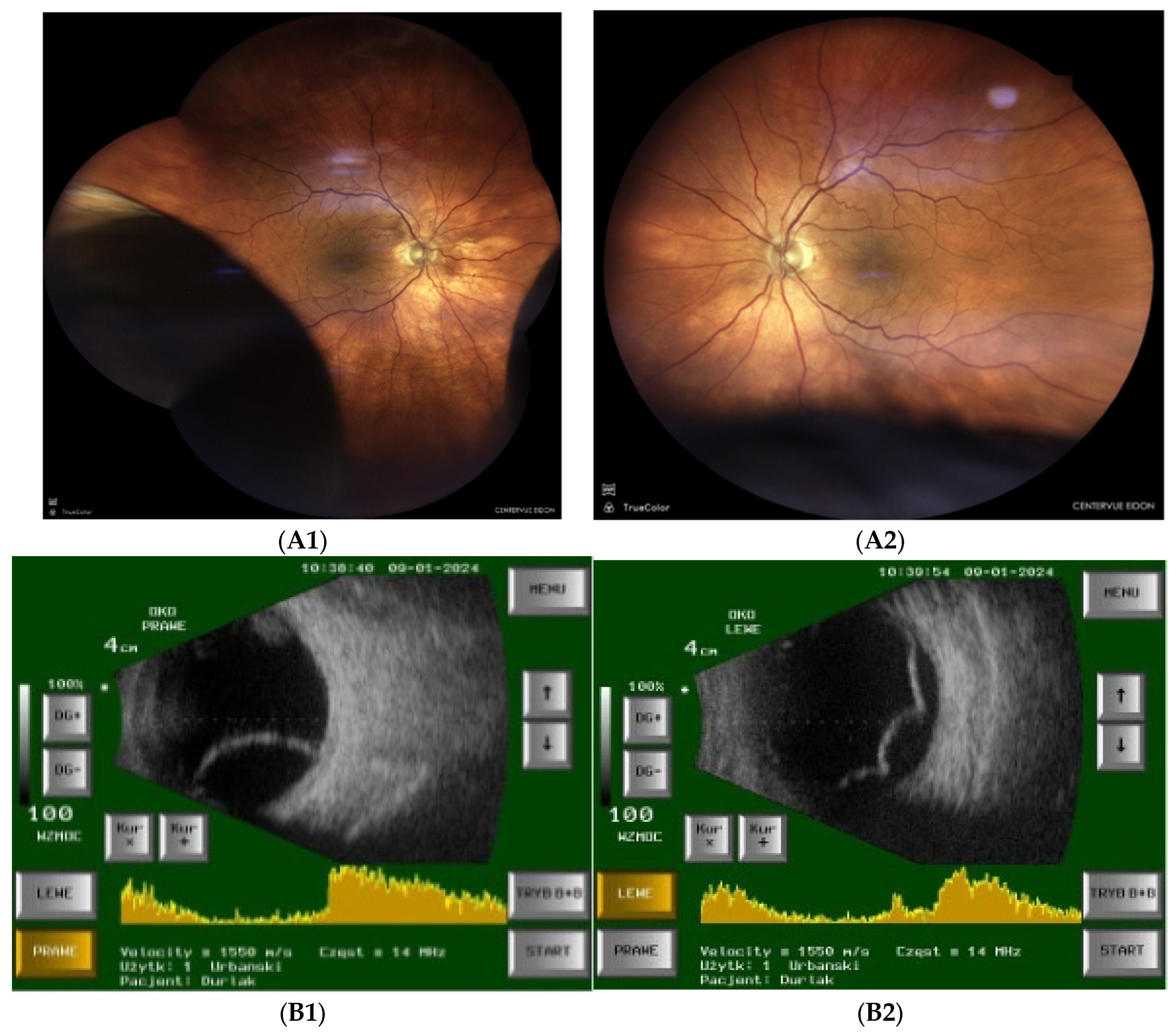 Preprints 156044 g002a