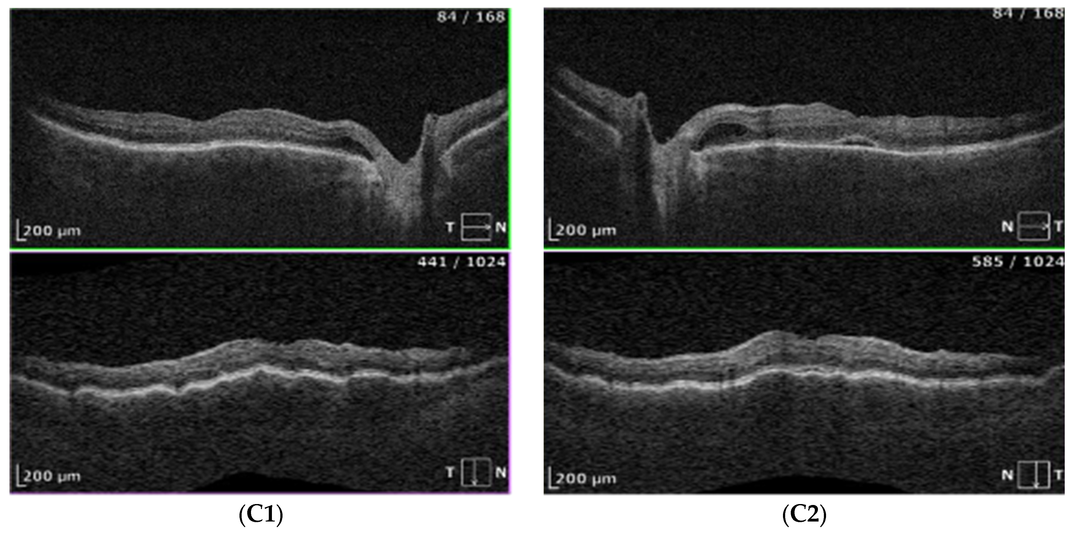 Preprints 156044 g002b