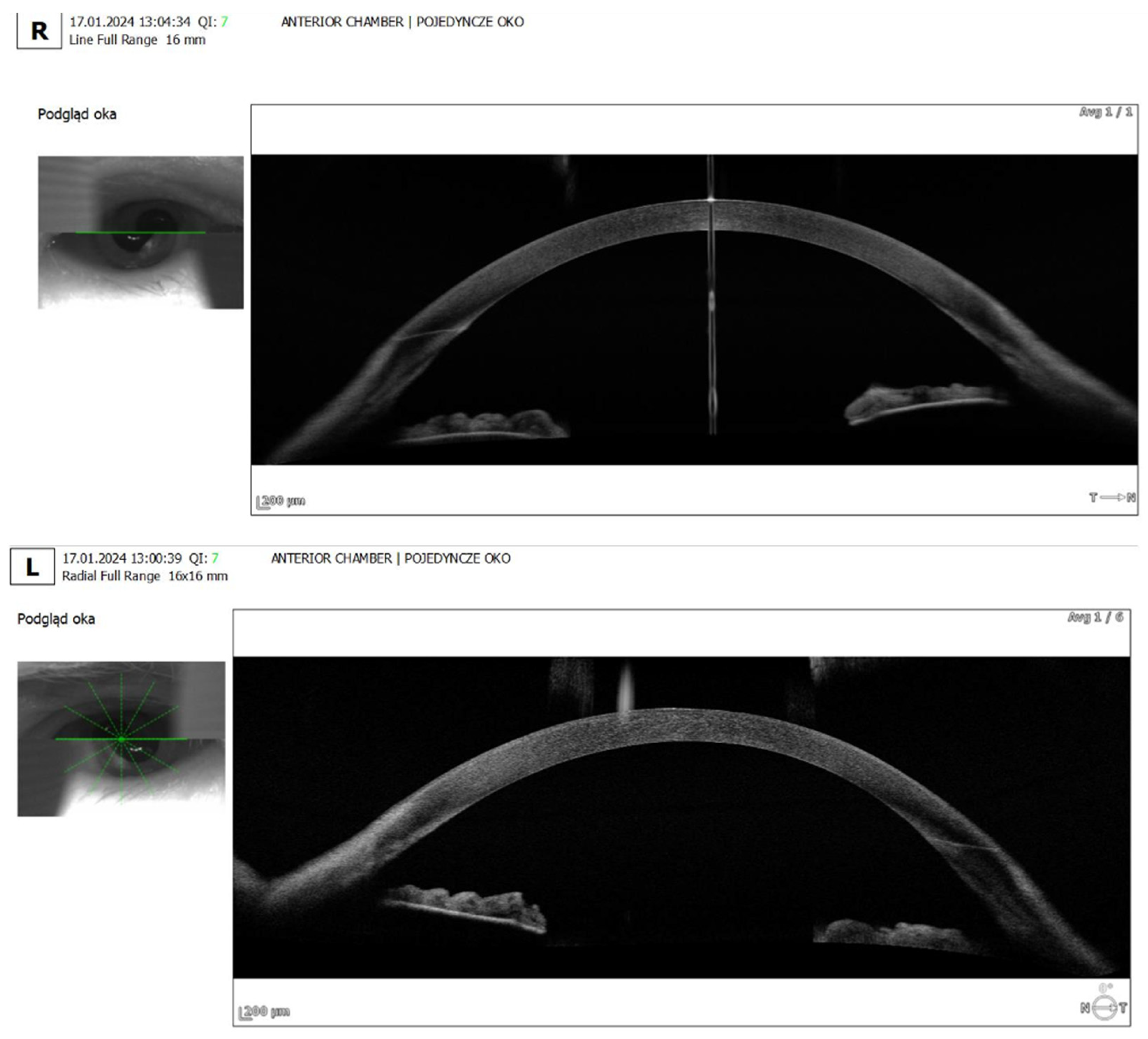 Preprints 156044 g003