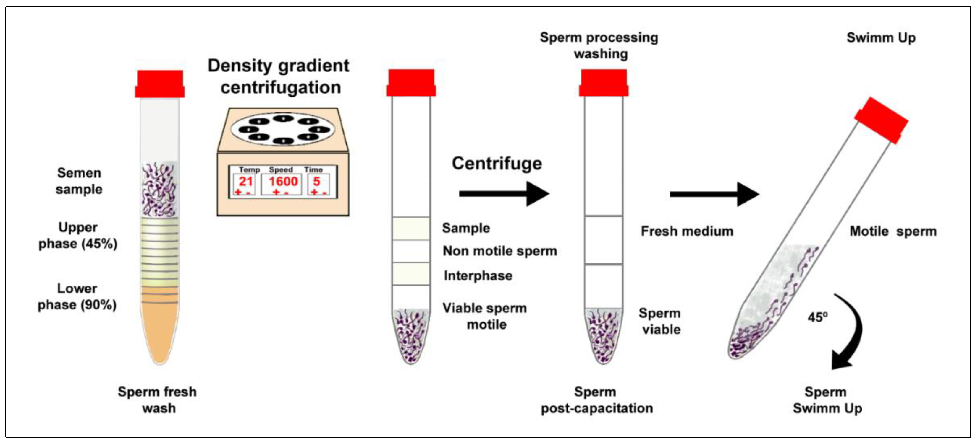 Preprints 154892 g001