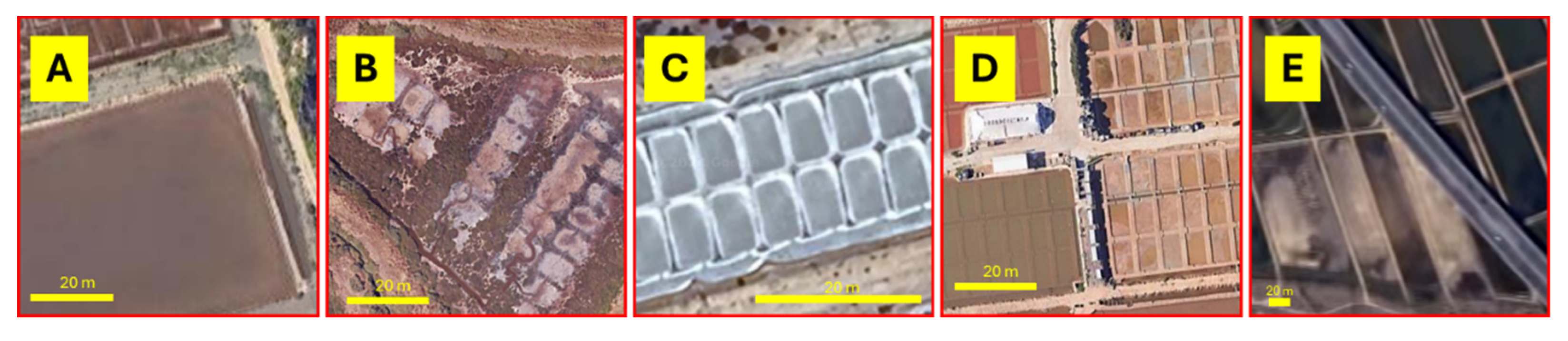 Preprints 182798 g006