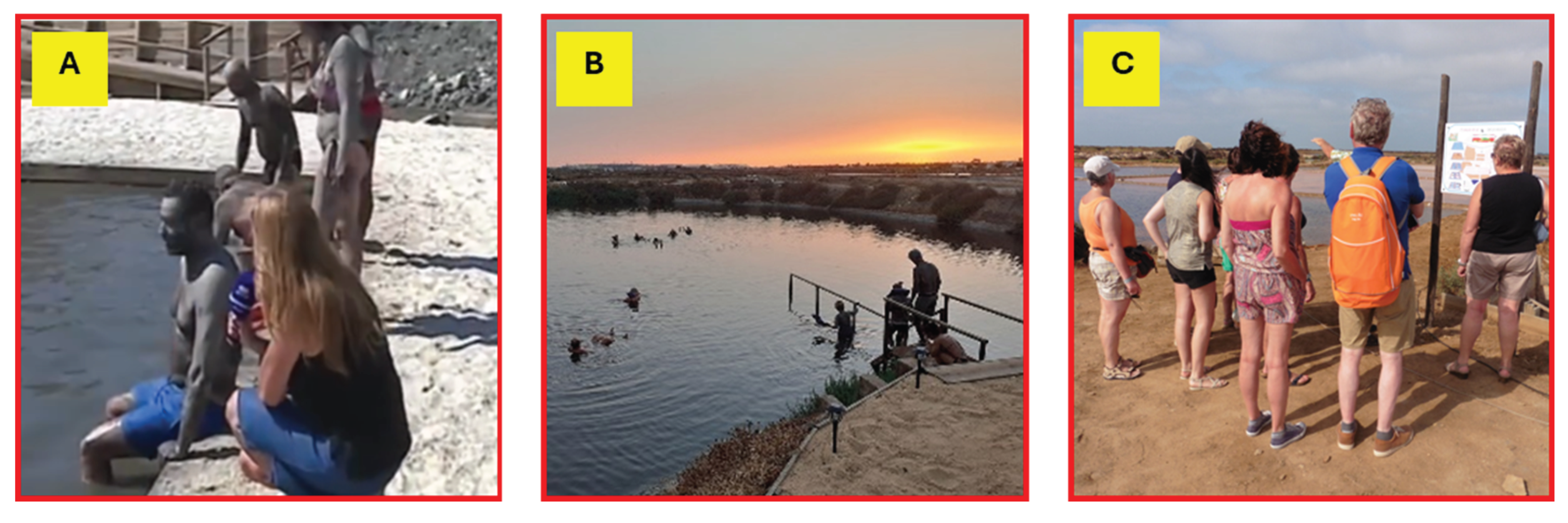 Preprints 182798 g007