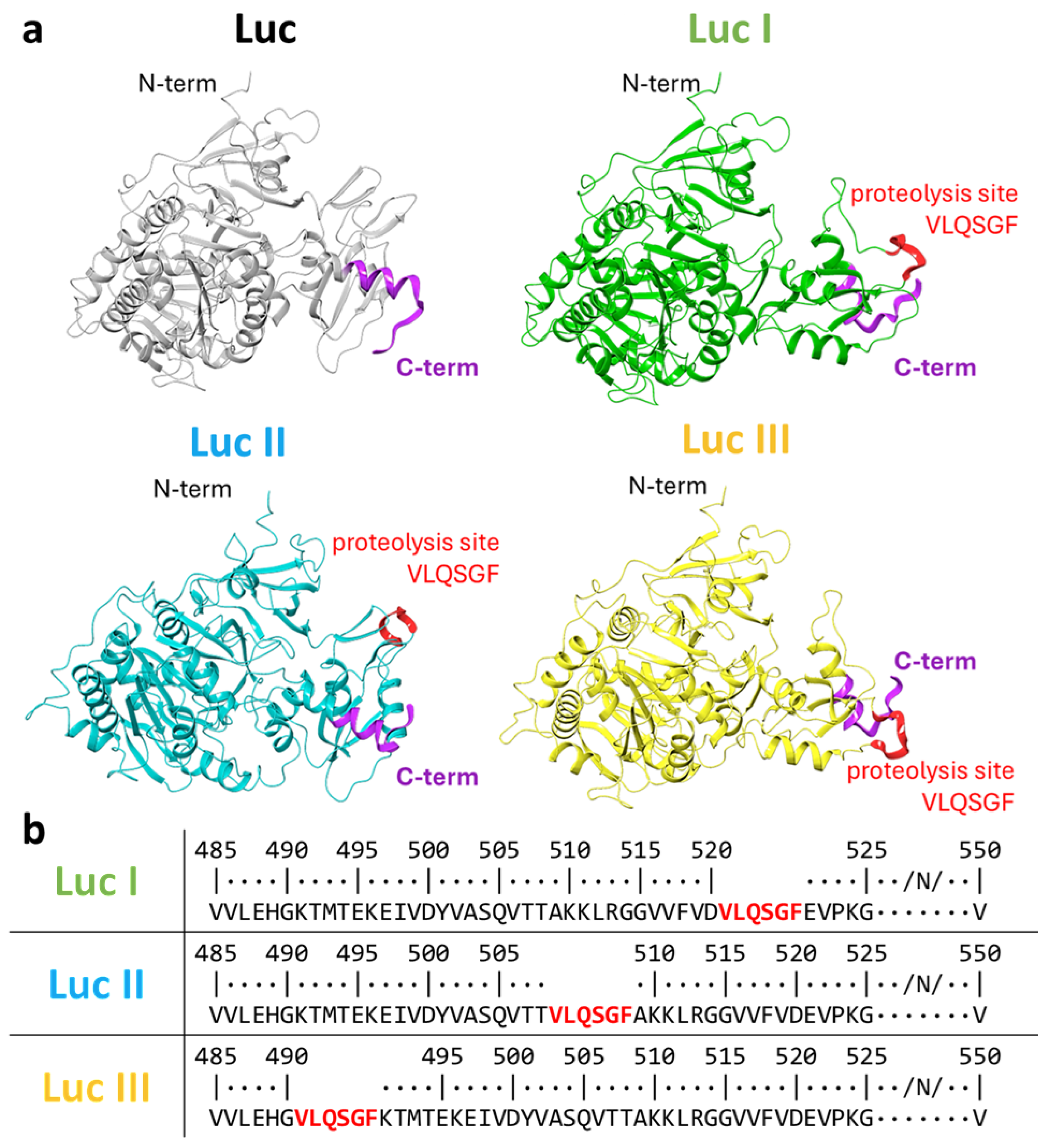 Preprints 206128 g001 Preprints 206128 g001