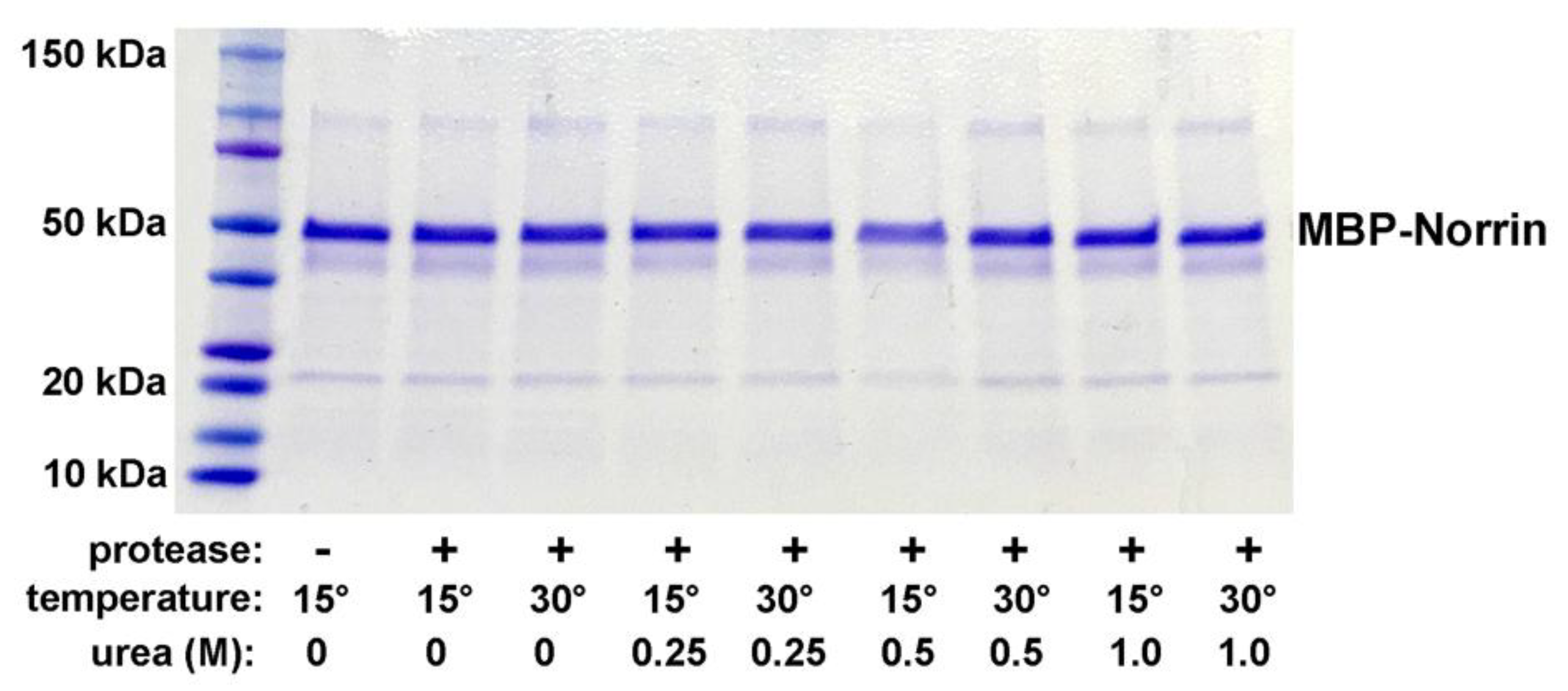 Preprints 181207 g001