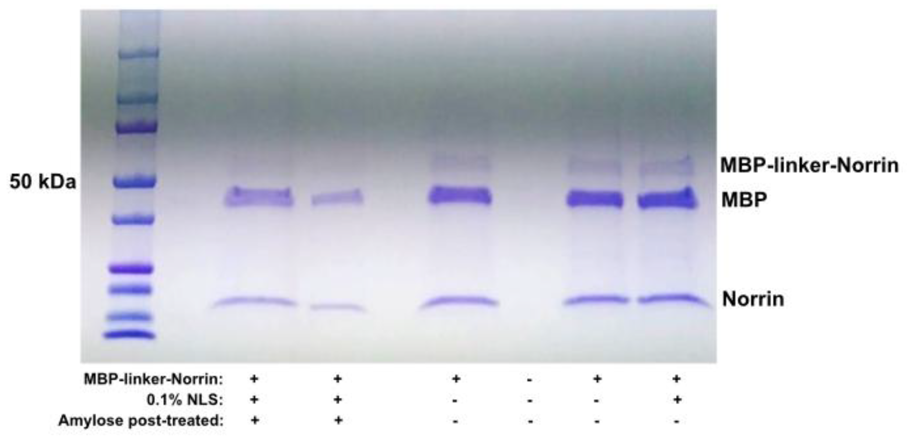 Preprints 181207 g003