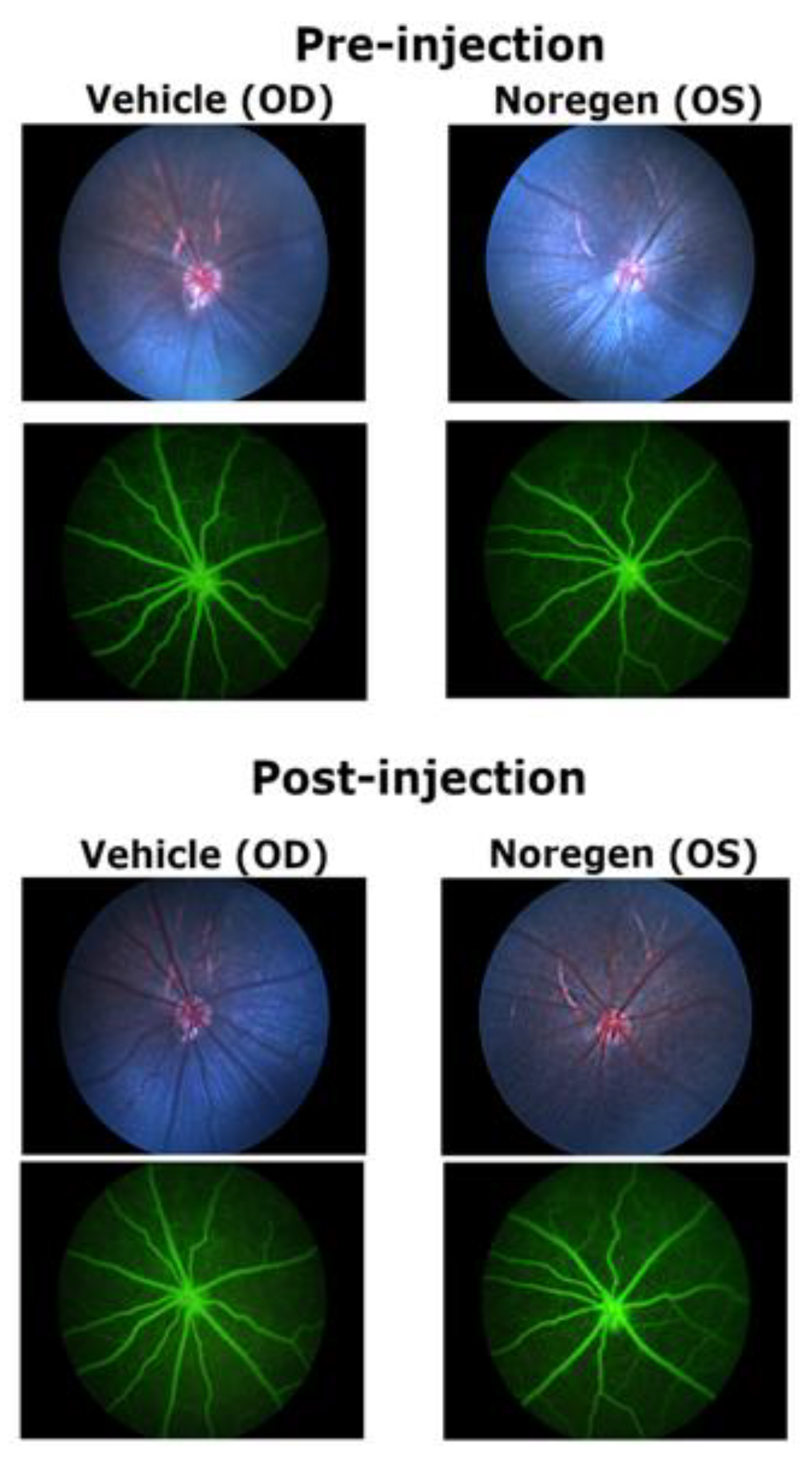 Preprints 181207 g006