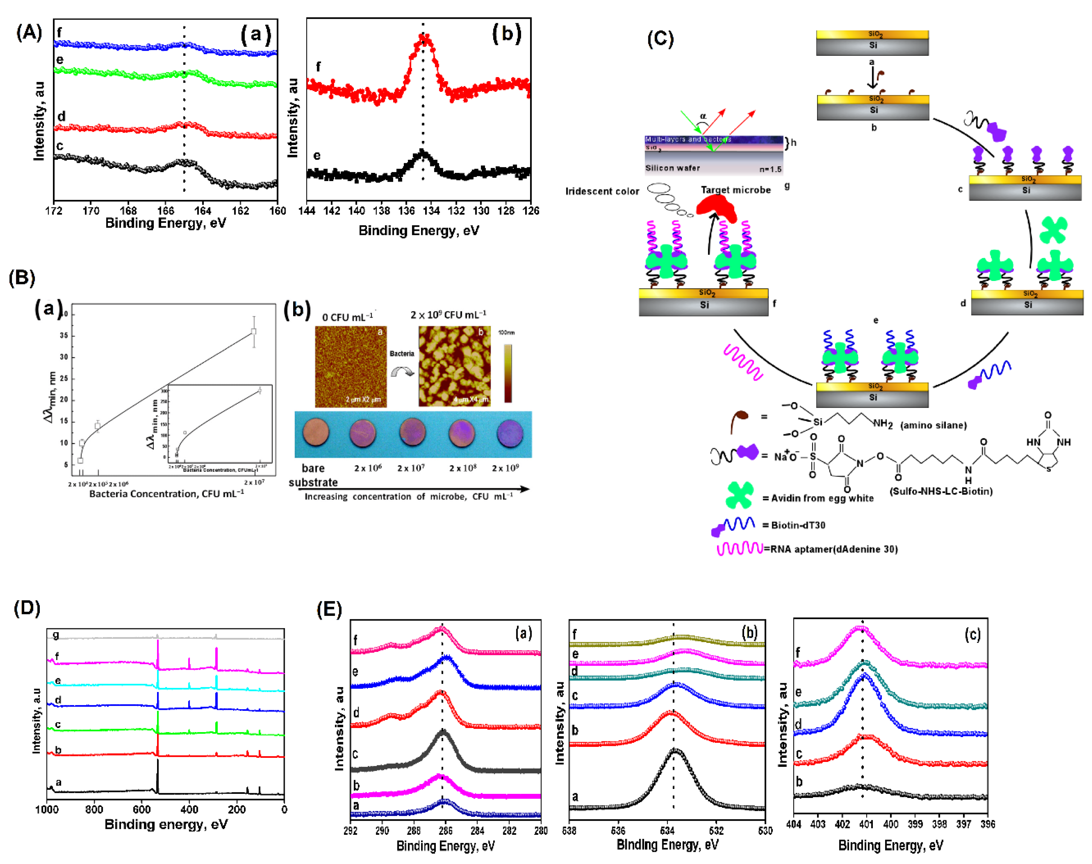 Preprints 162131 g008