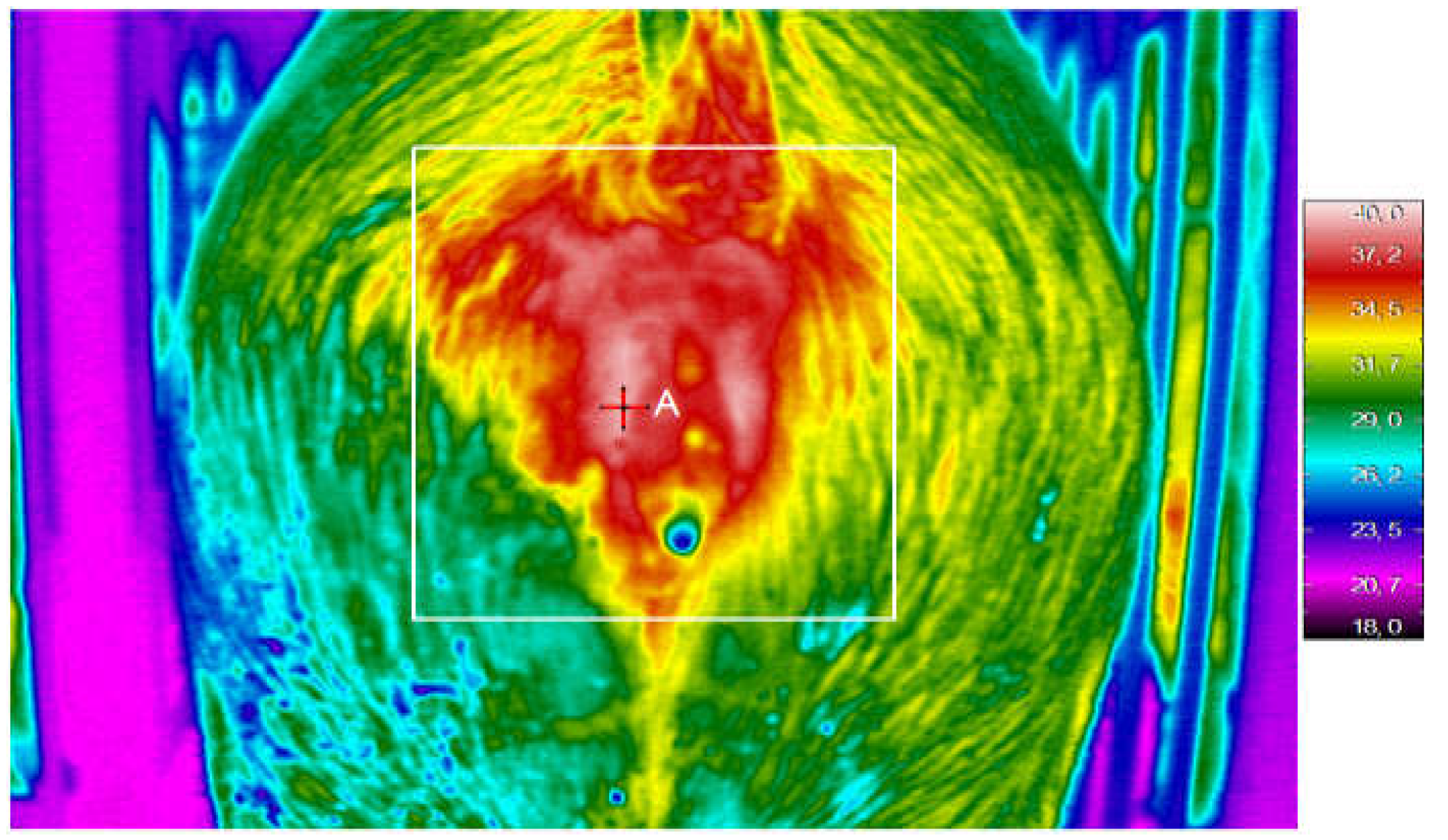 Preprints 107235 g001