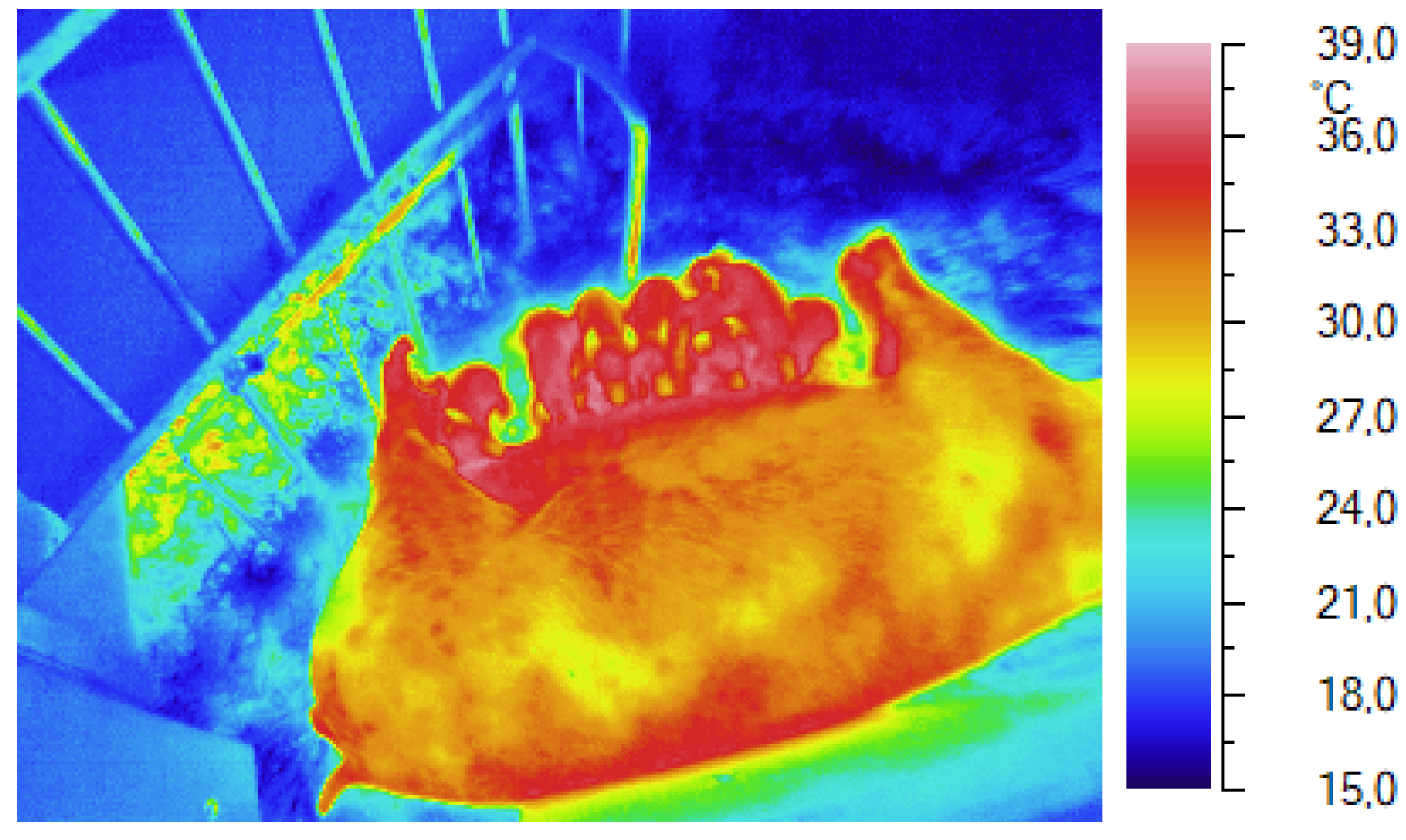 Preprints 107235 g002