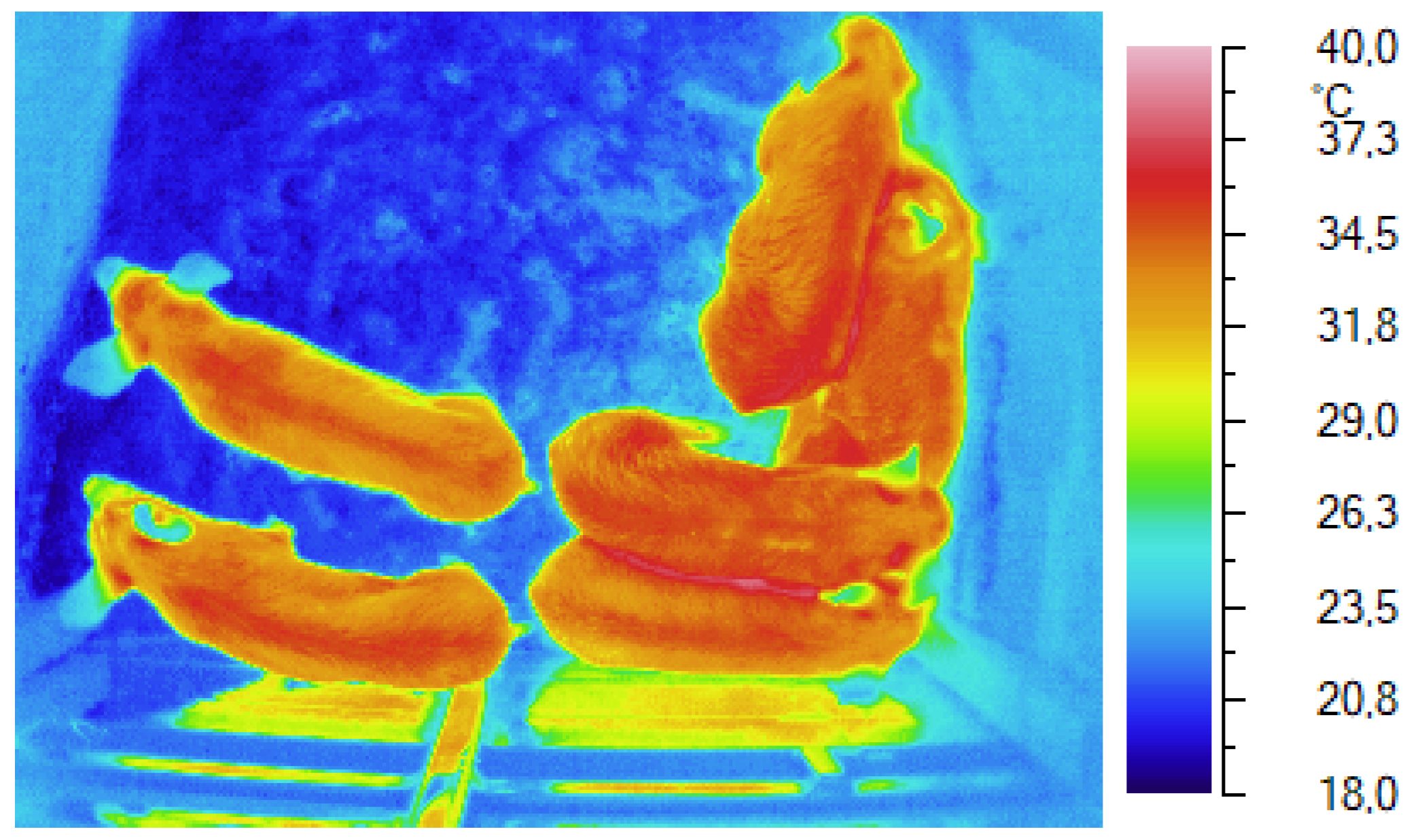 Preprints 107235 g003