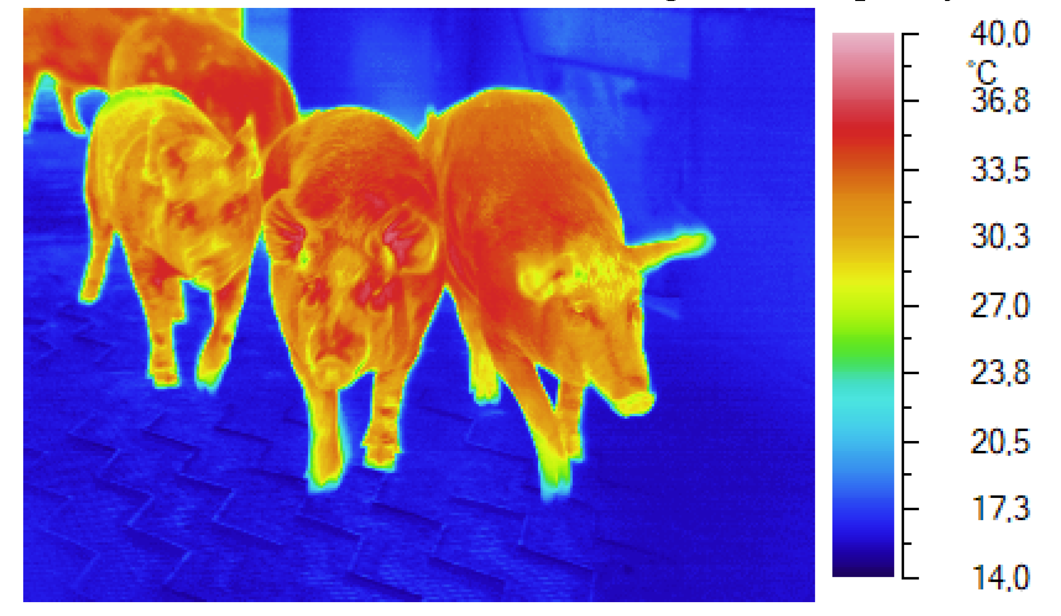 Preprints 107235 g004