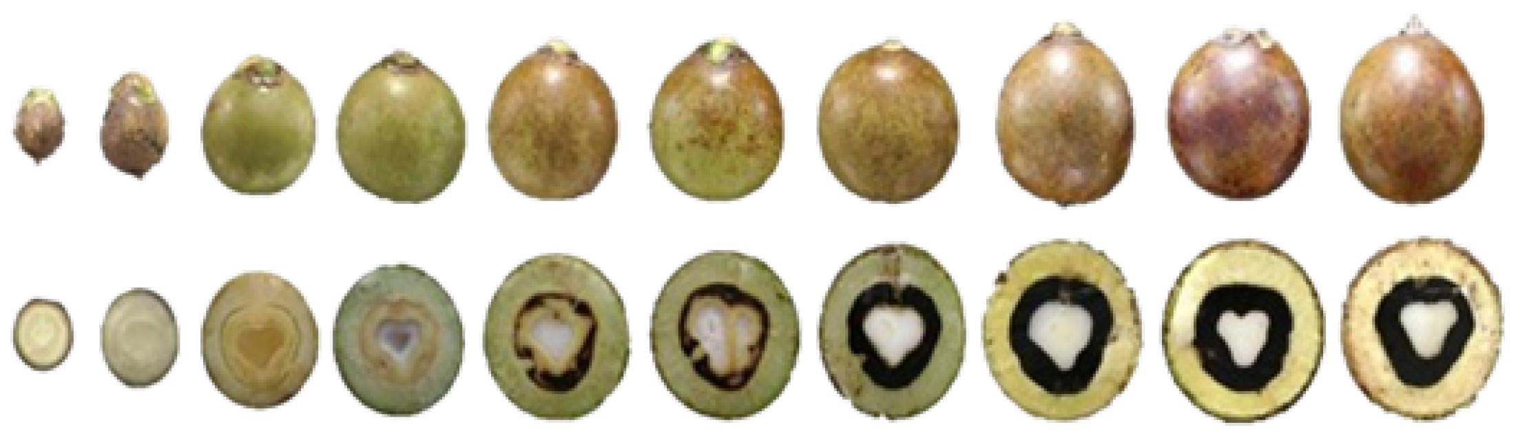 Preprints 147838 g001