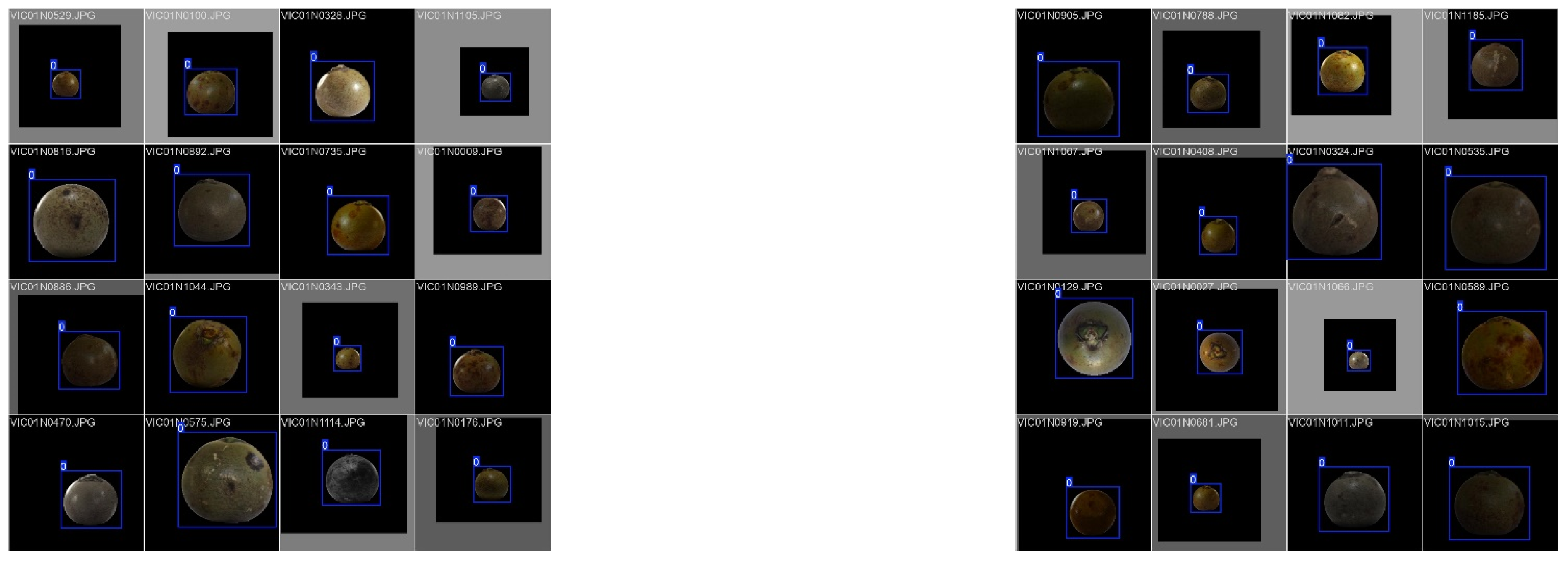 Preprints 147838 g002