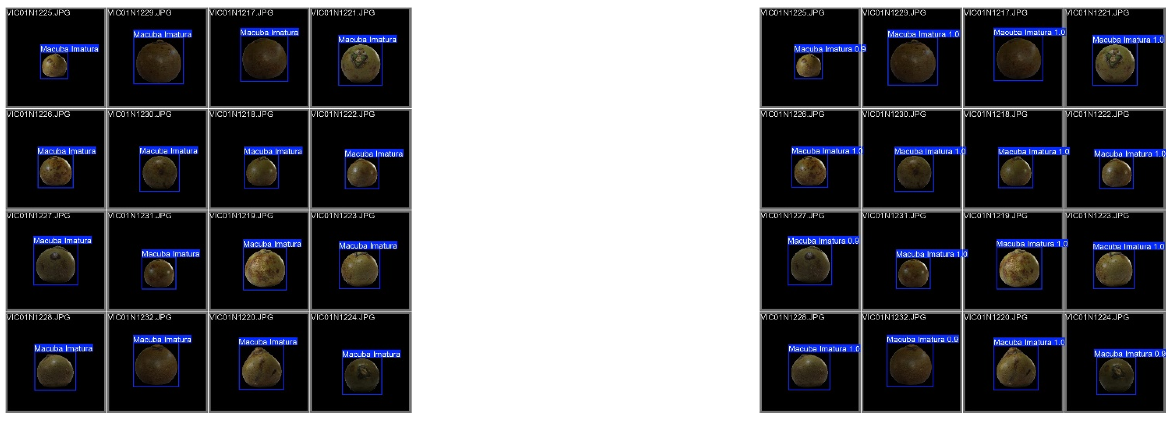 Preprints 147838 g003