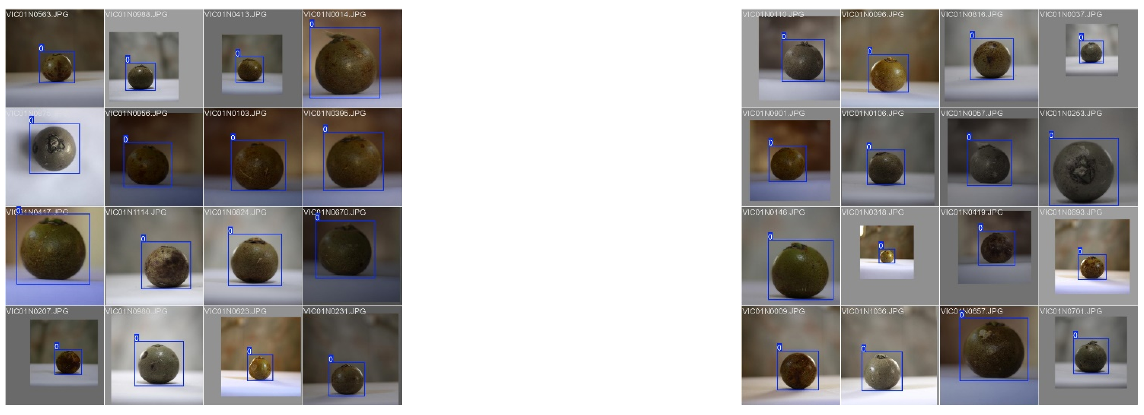 Preprints 147838 g004