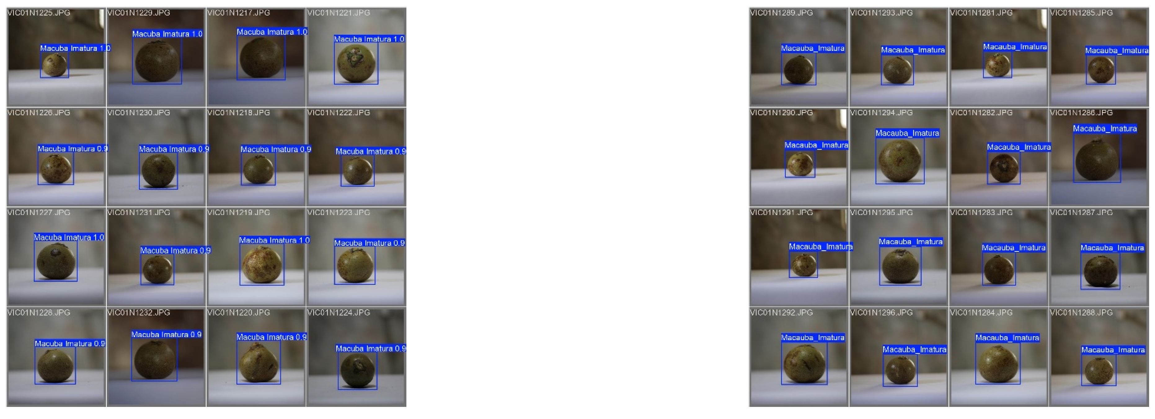 Preprints 147838 g005