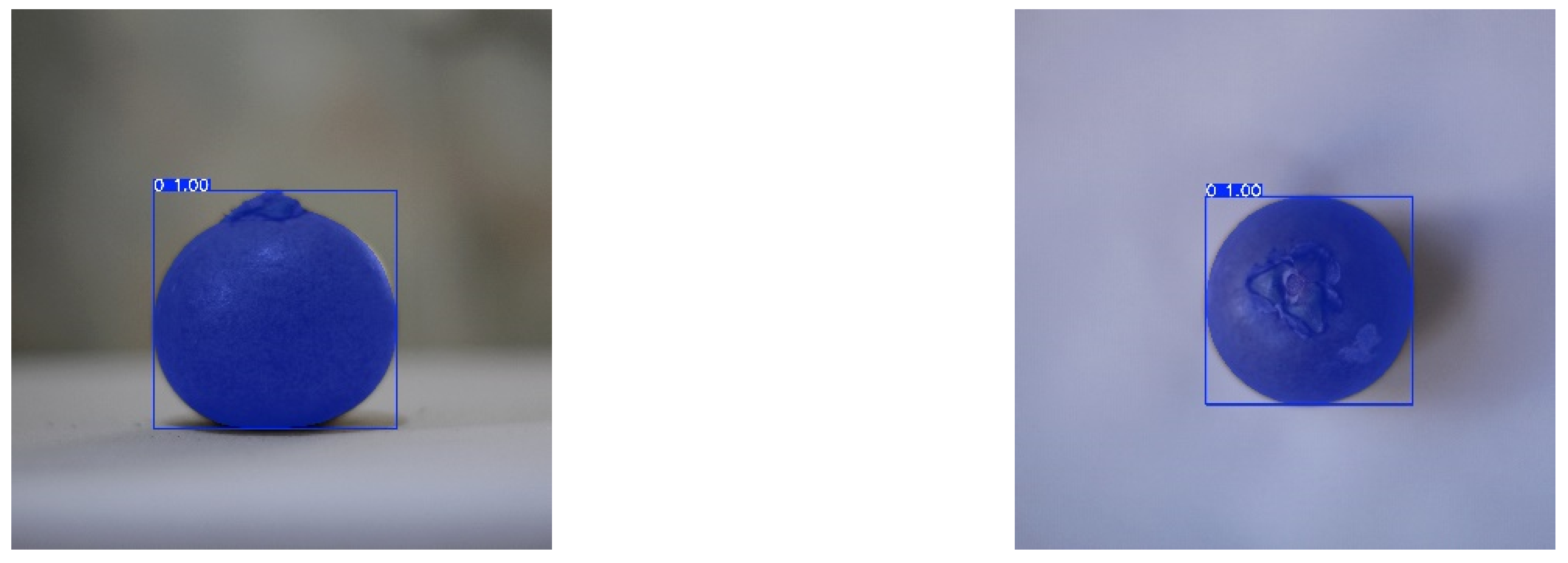 Preprints 147838 g007