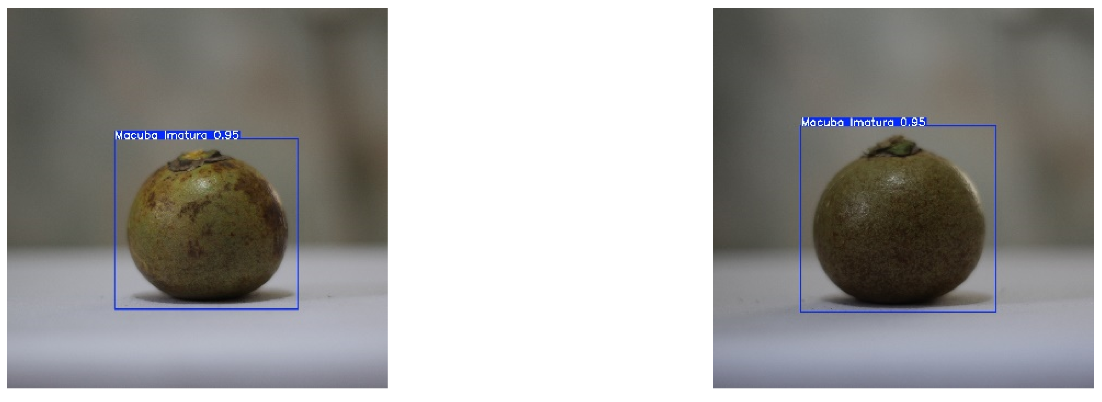 Preprints 147838 g009