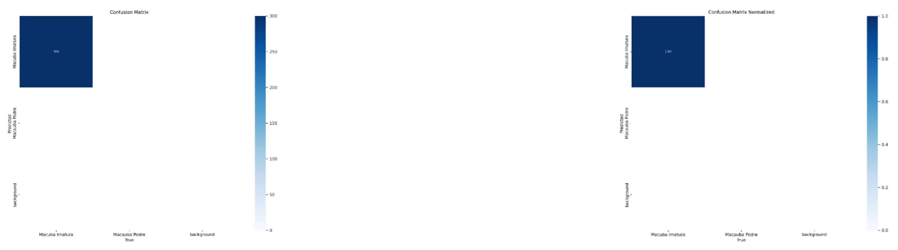 Preprints 147838 g011