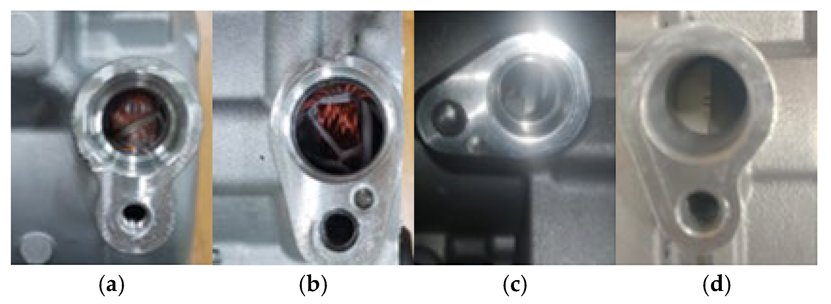 Preprints 148203 g002
