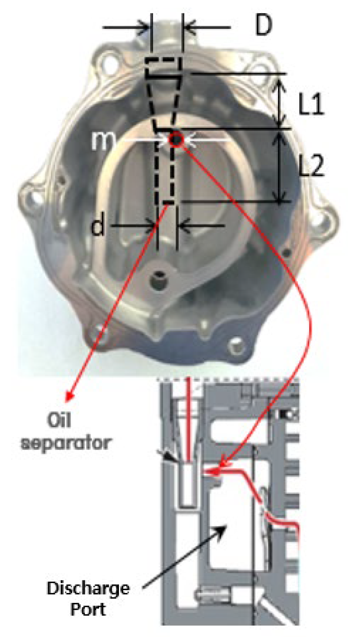 Preprints 148203 g004