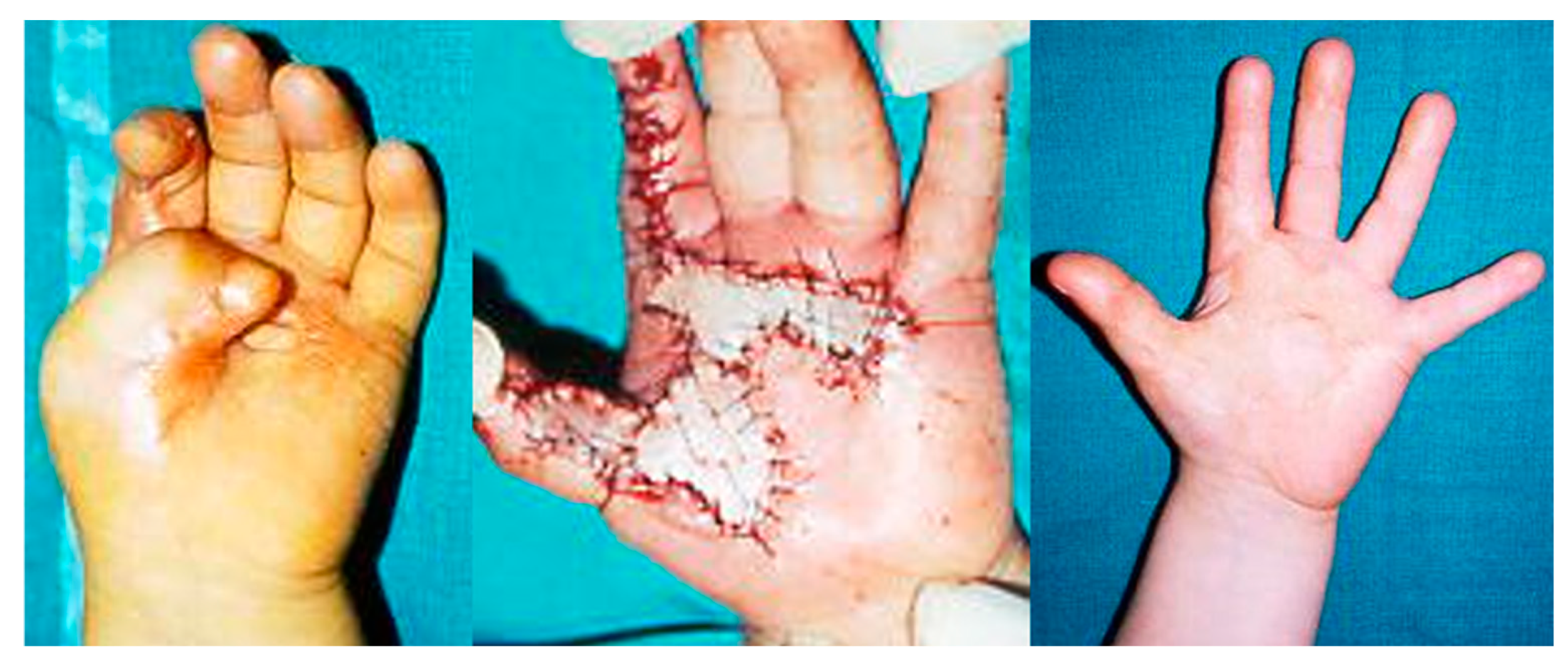 Preprints 155623 g001