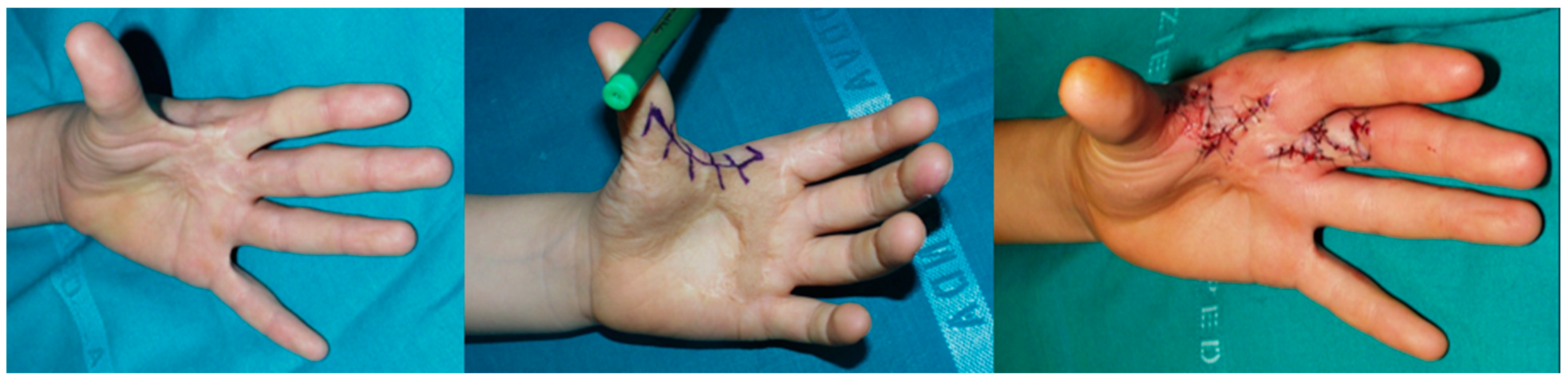 Preprints 155623 g002