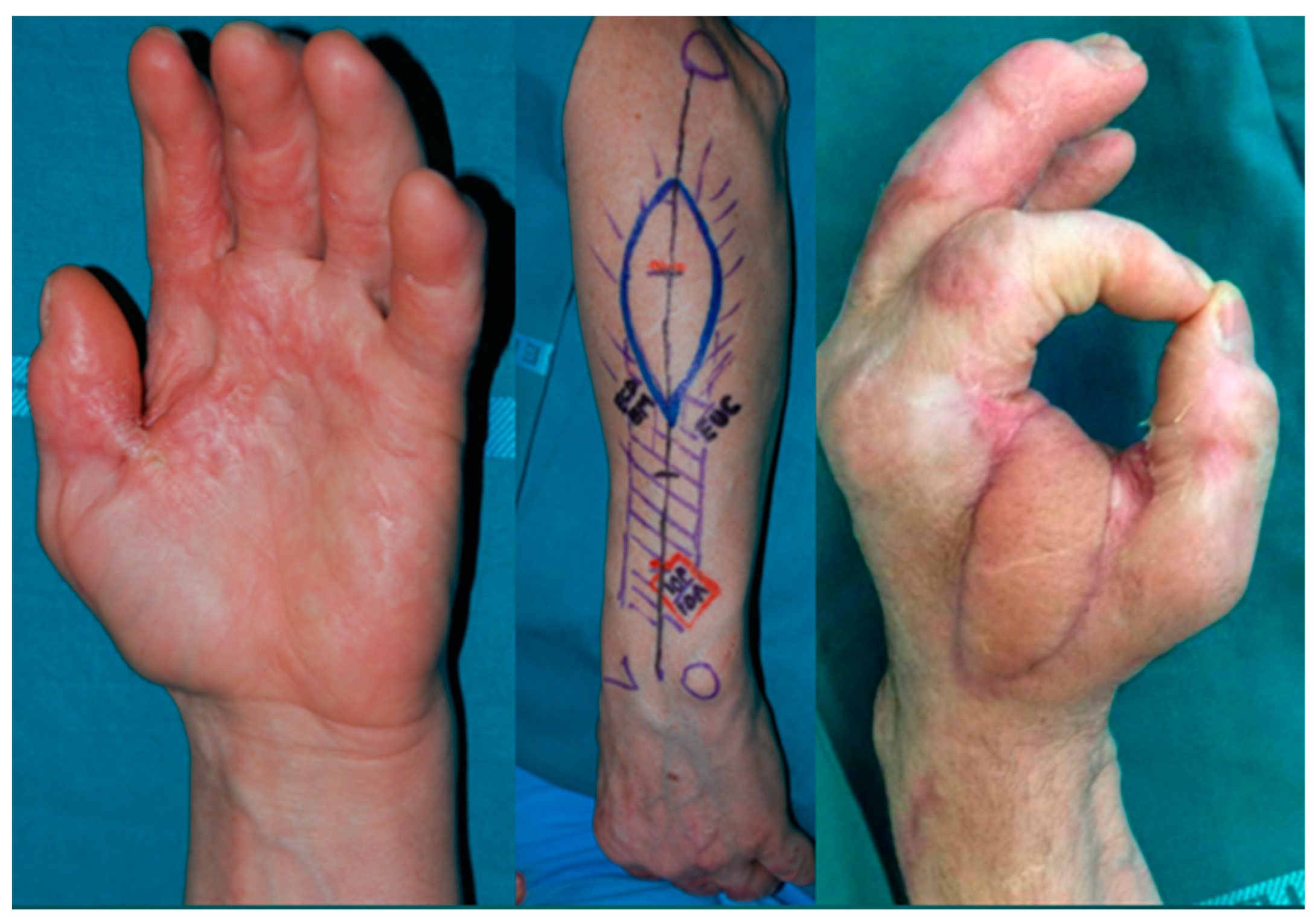 Preprints 155623 g003