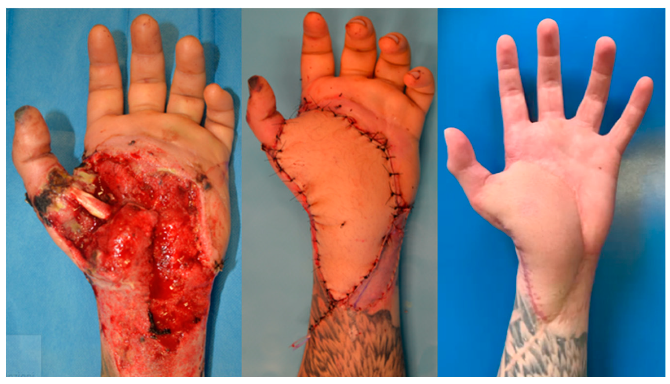 Preprints 155623 g004