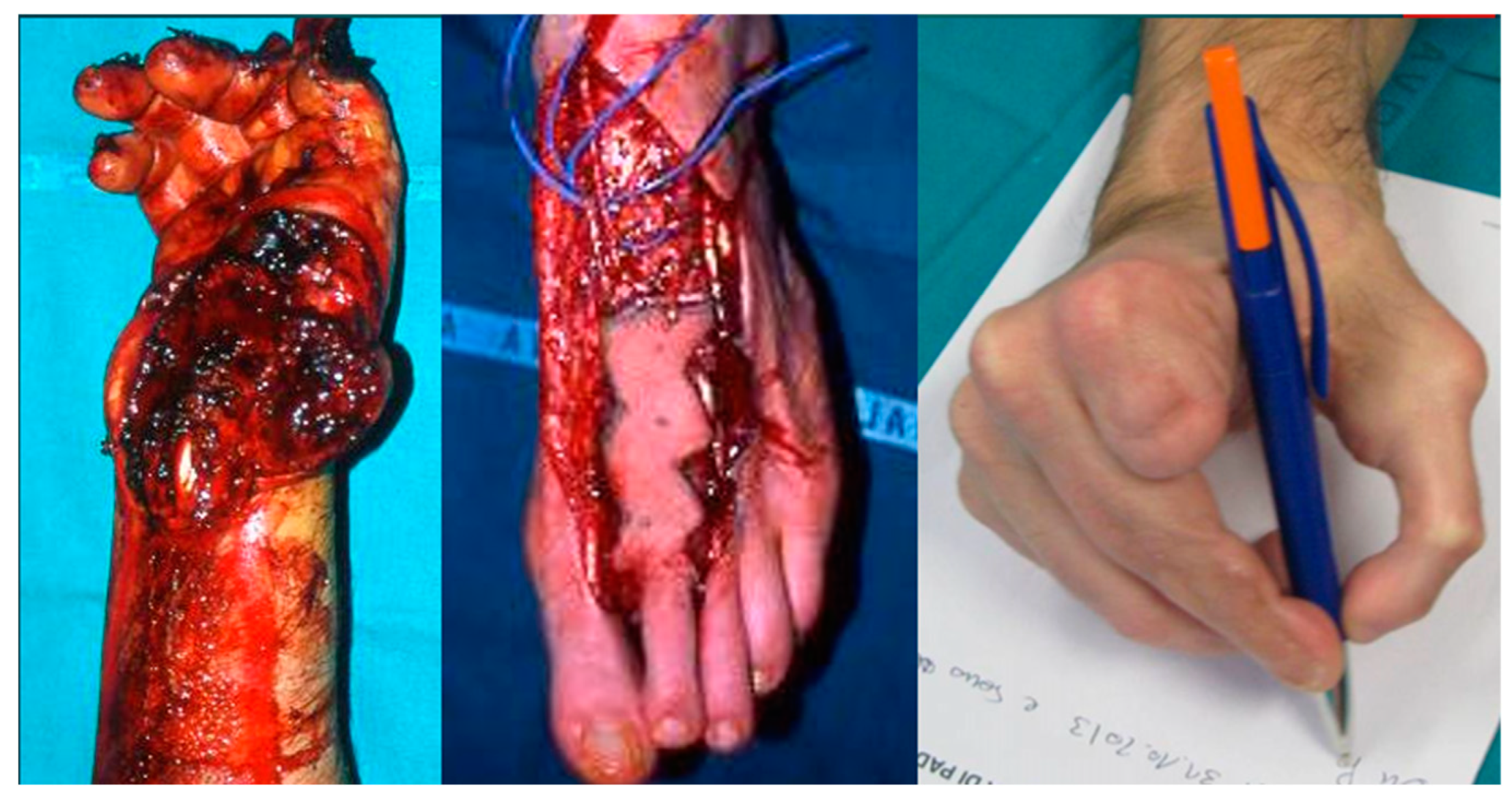 Preprints 155623 g005