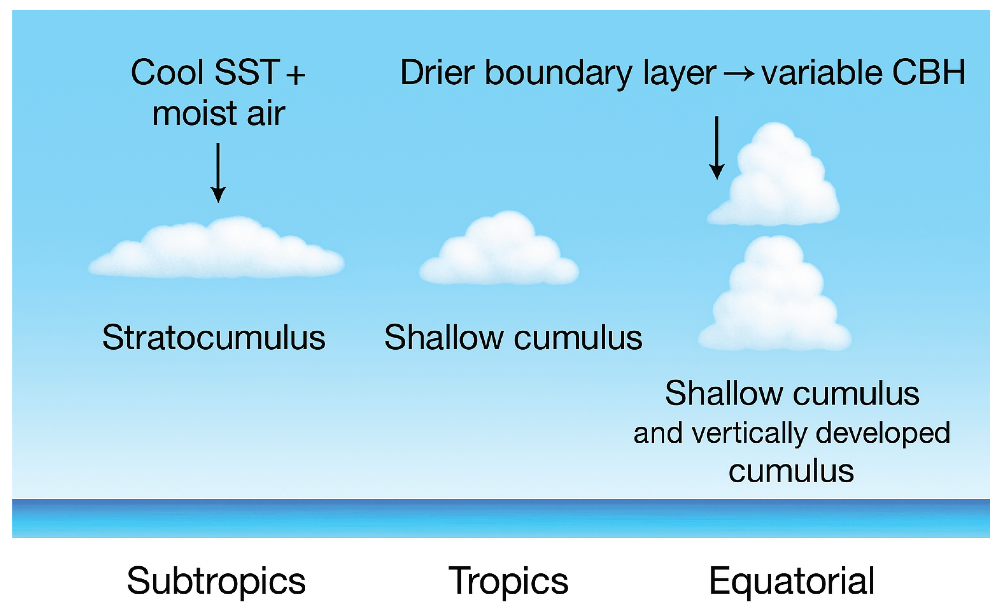 Preprints 185883 g001