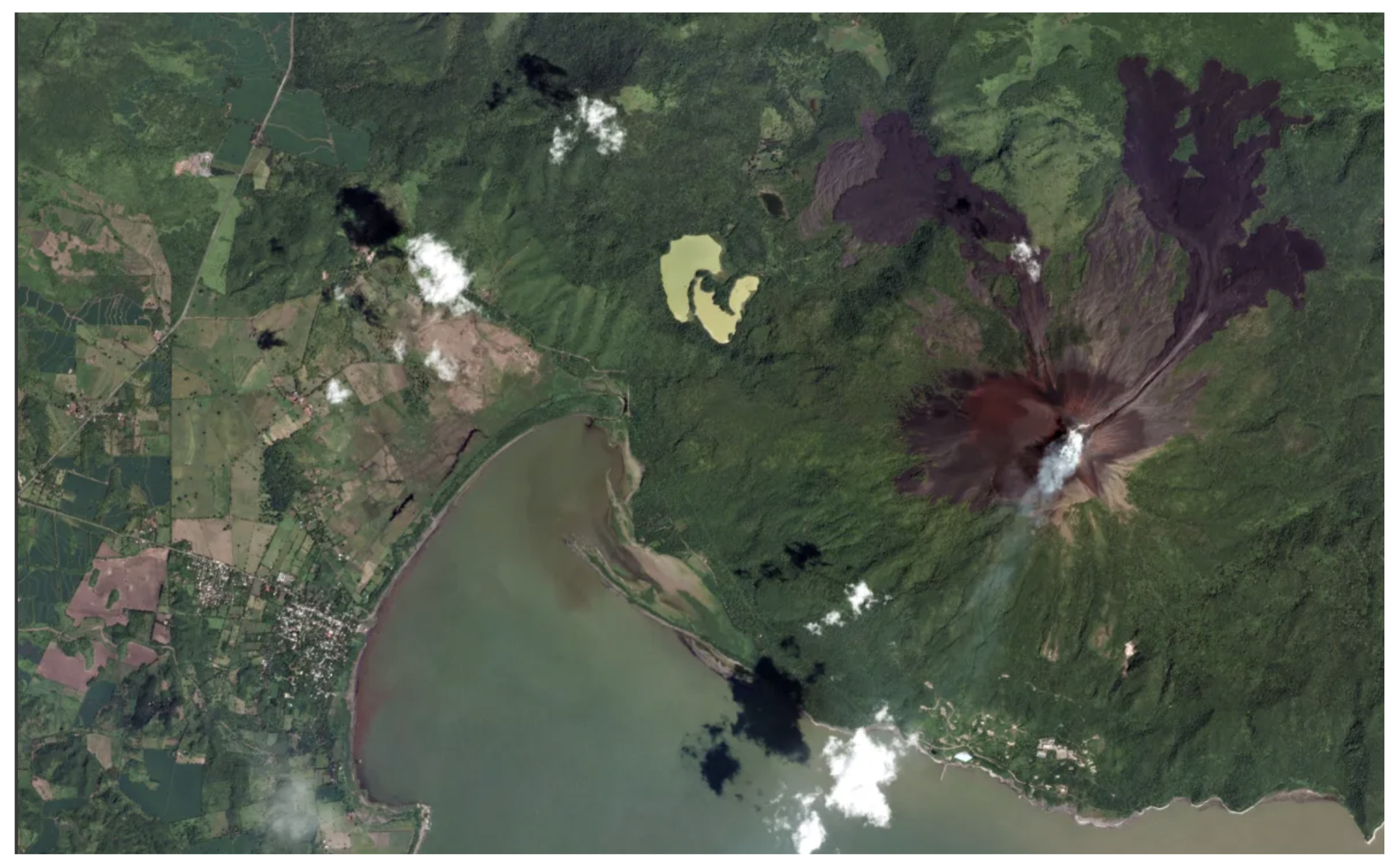 Preprints 185883 g010