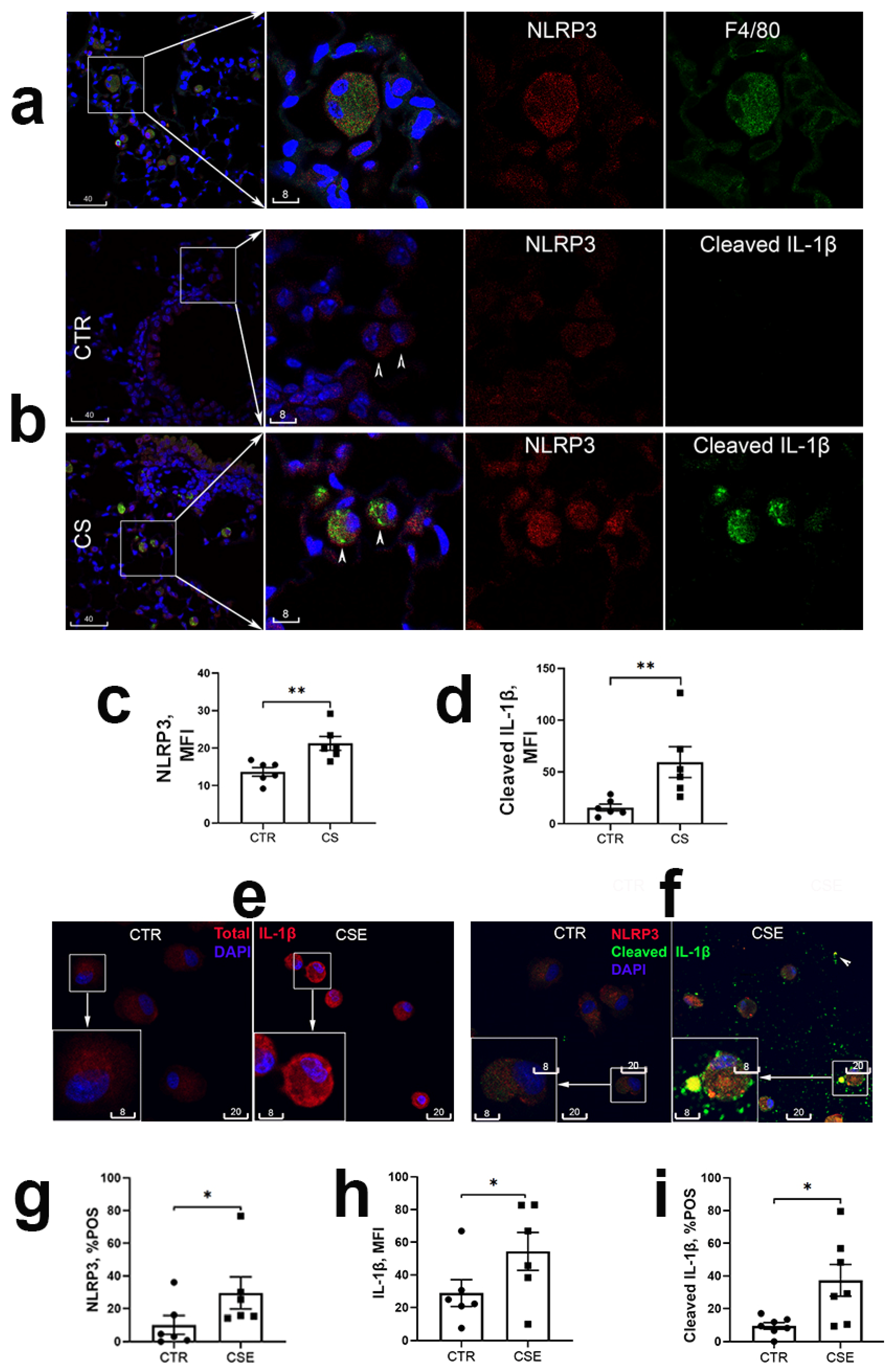 Preprints 102023 g001