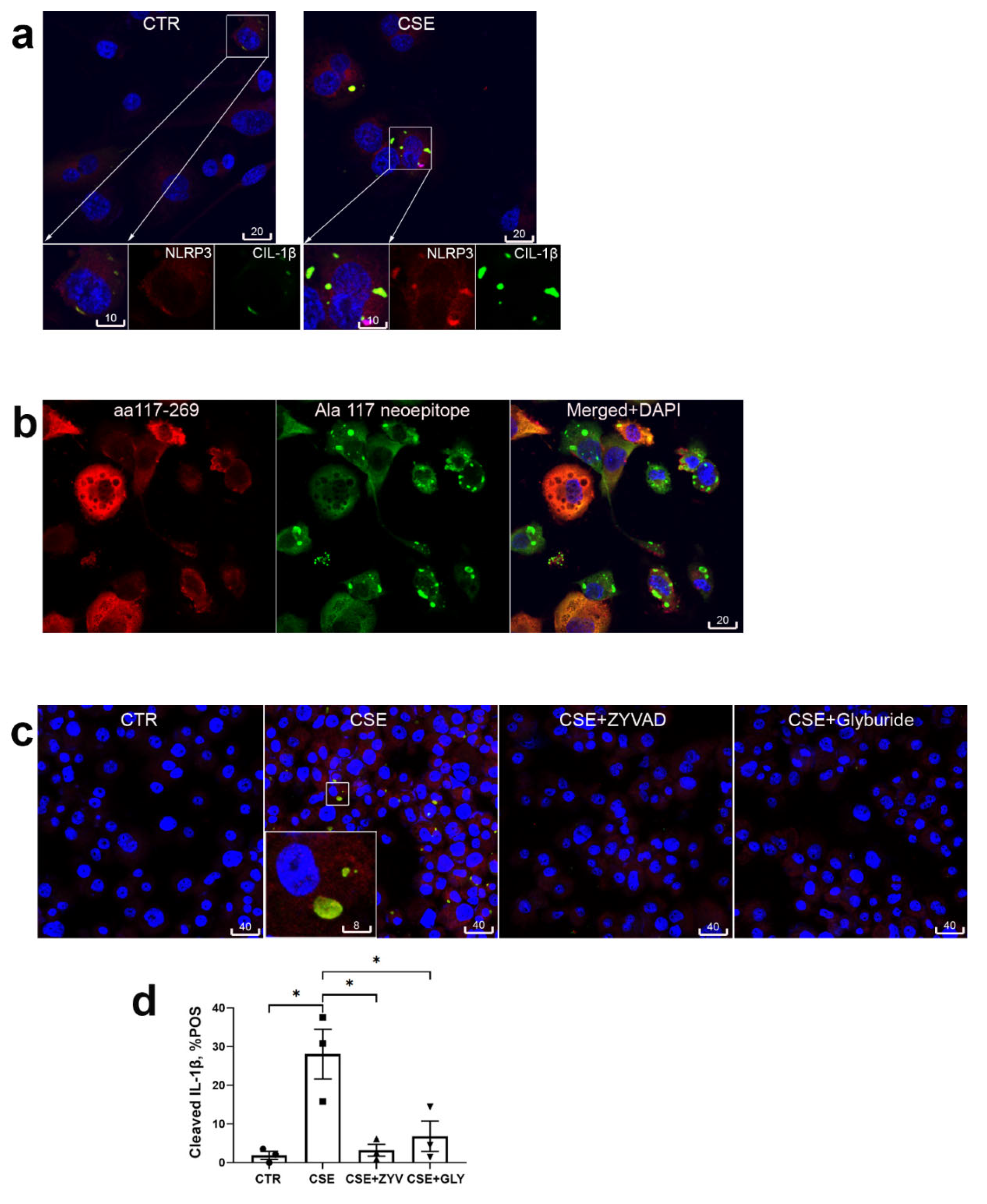 Preprints 102023 g002