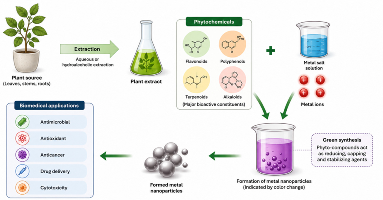 Preprints 222198 g001
