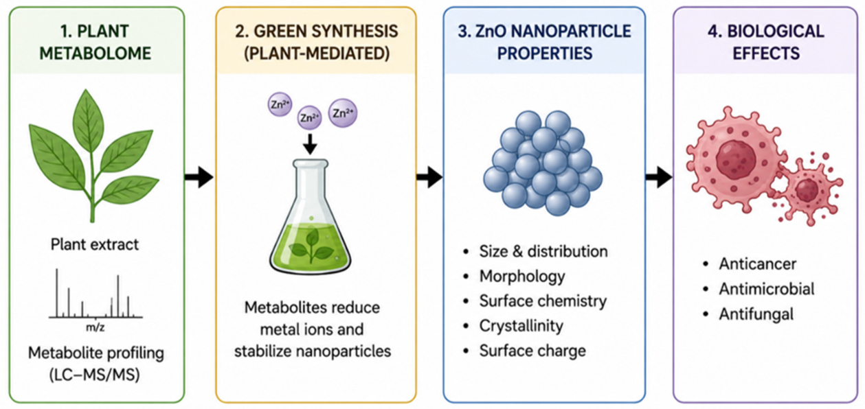 Preprints 222198 g002