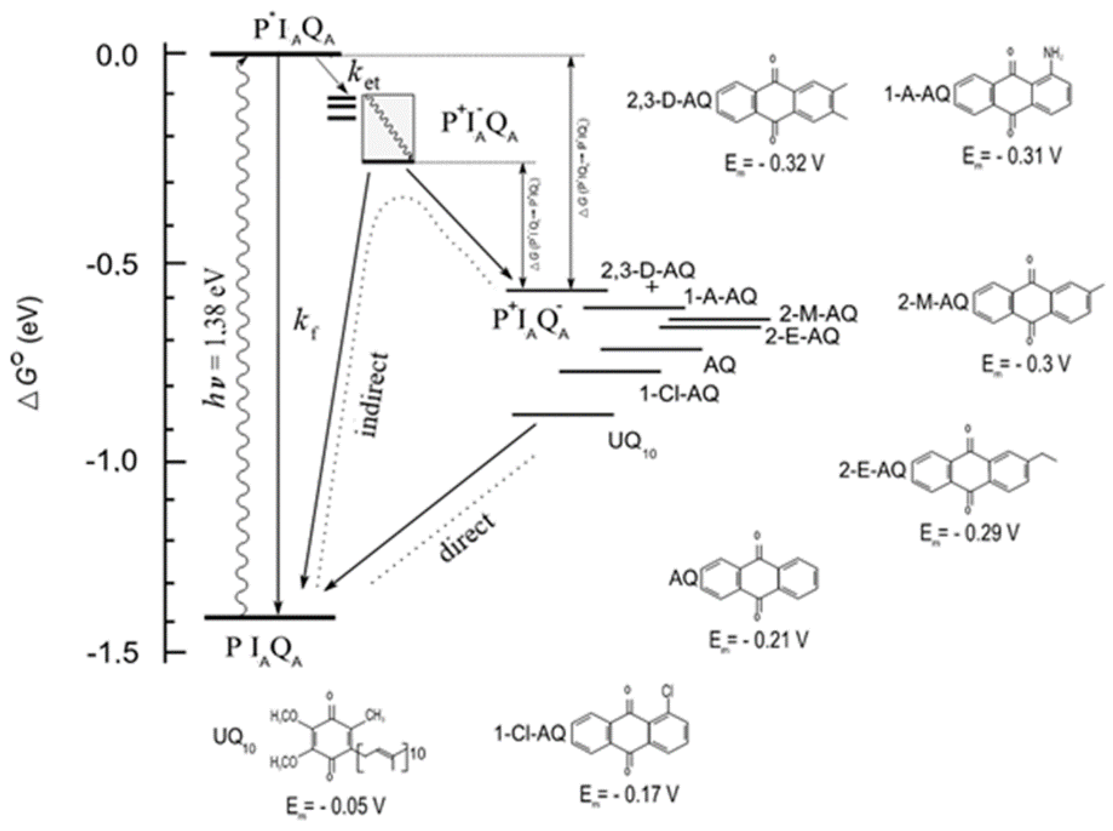 Preprints 119225 g002