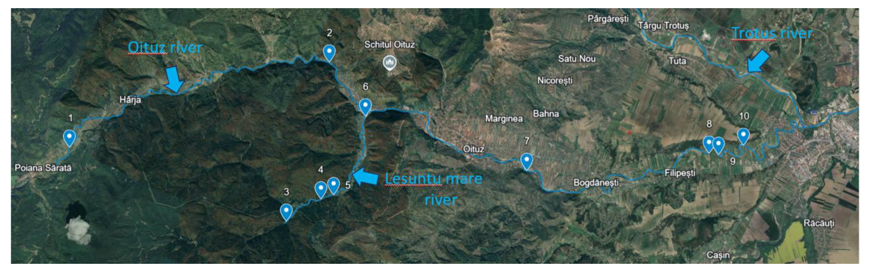 Preprints 157207 g001