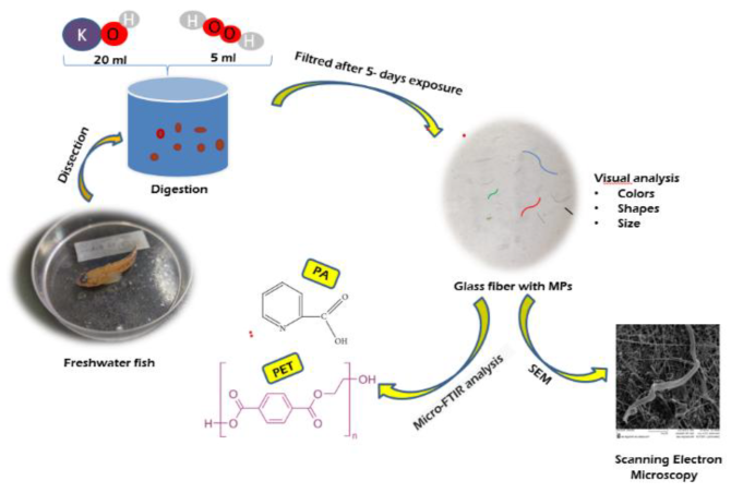 Preprints 157207 i001