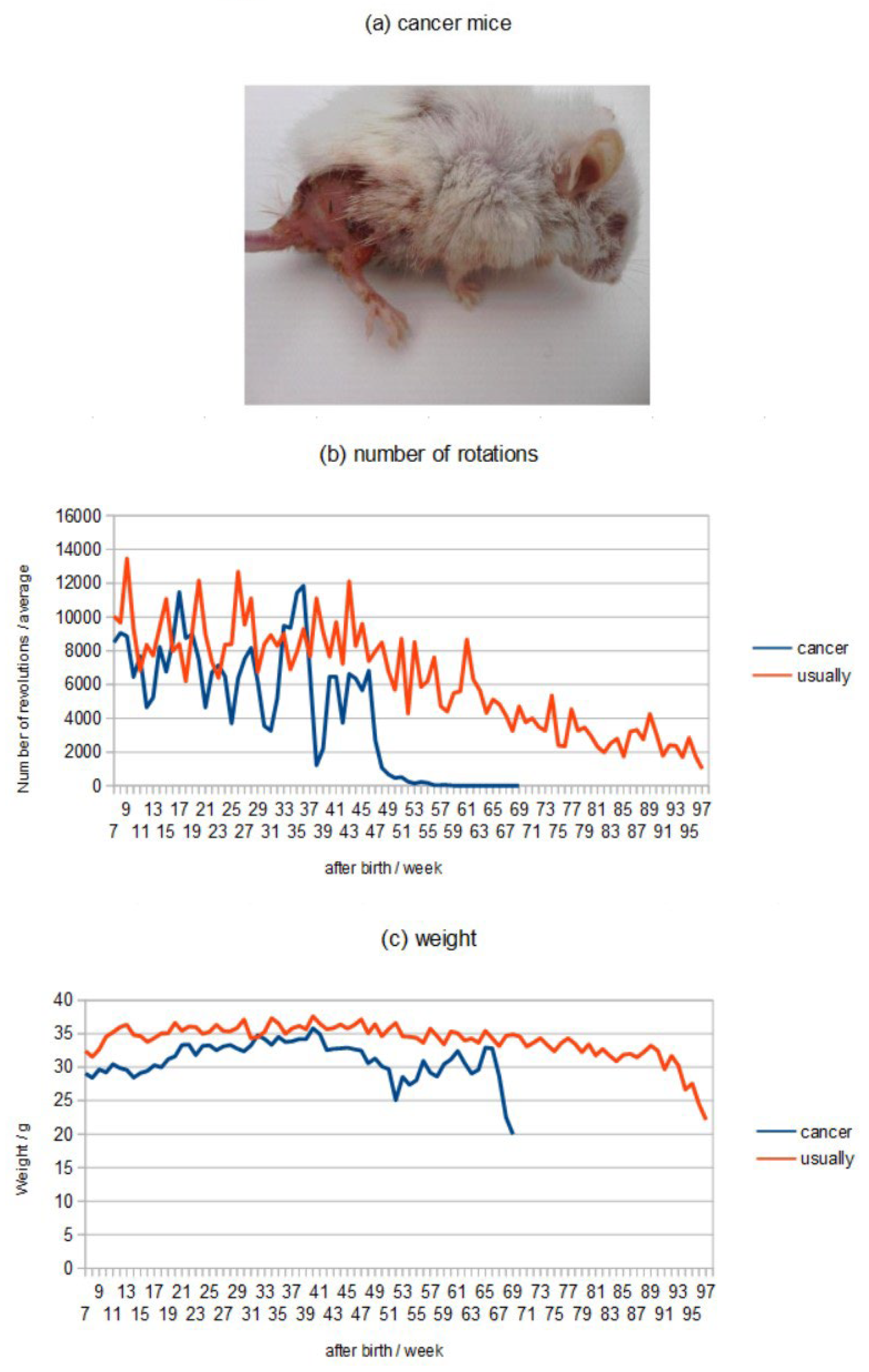 Preprints 101558 g001a