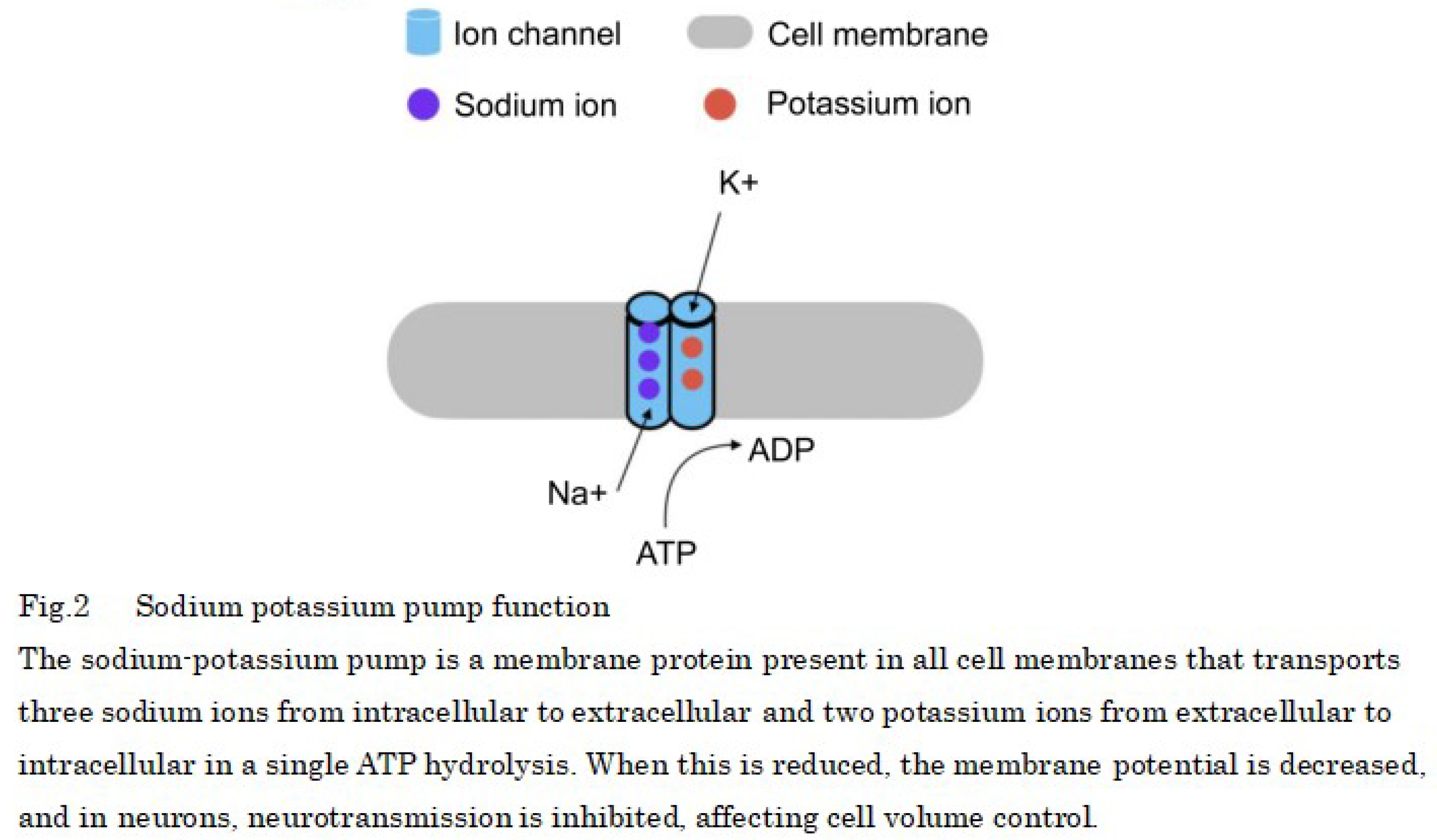 Preprints 101558 i001