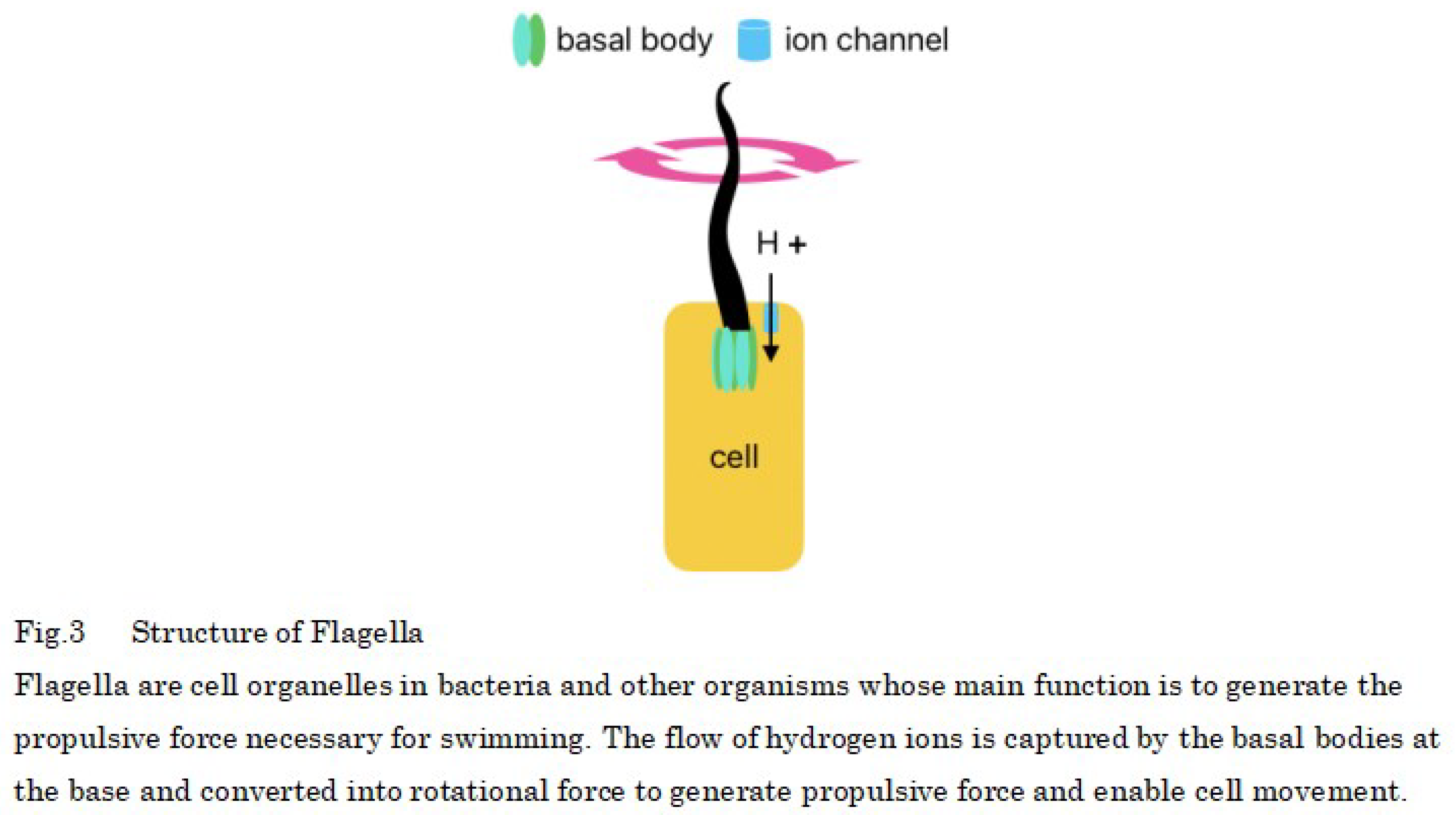 Preprints 101558 i002