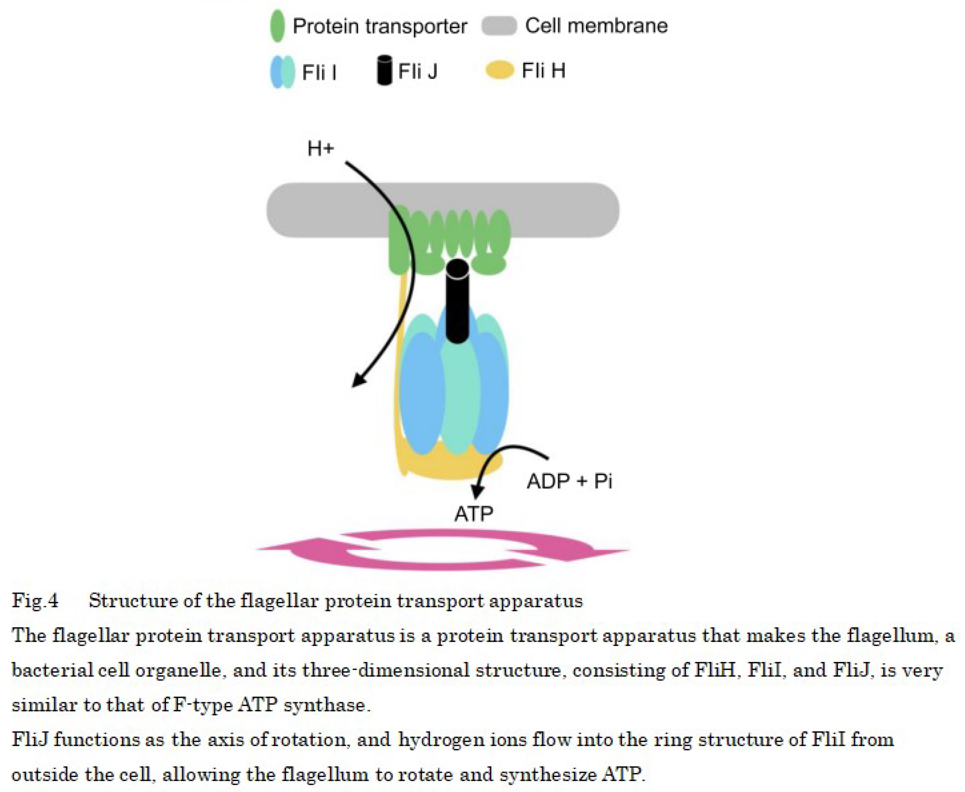 Preprints 101558 i003
