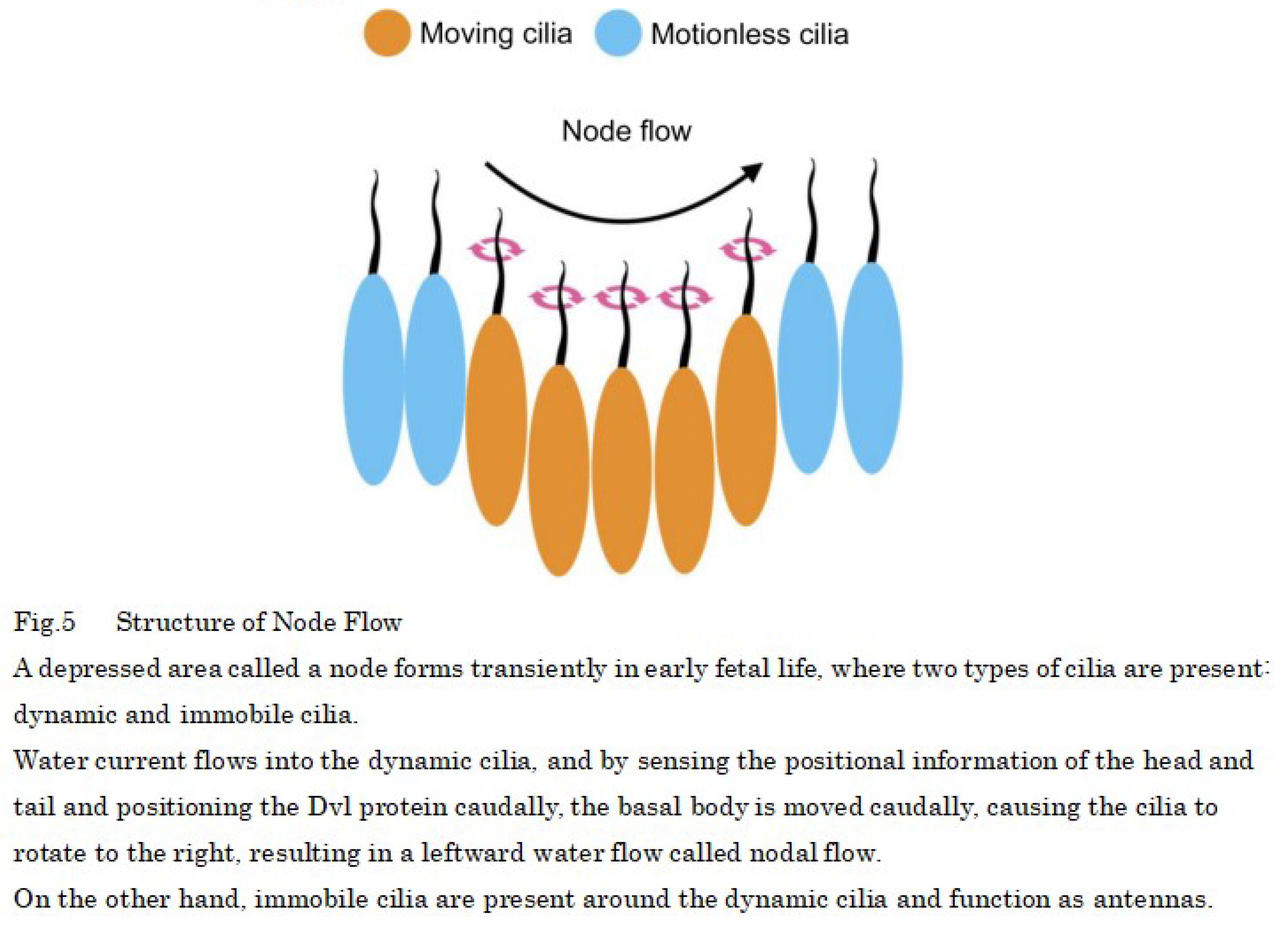 Preprints 101558 i004