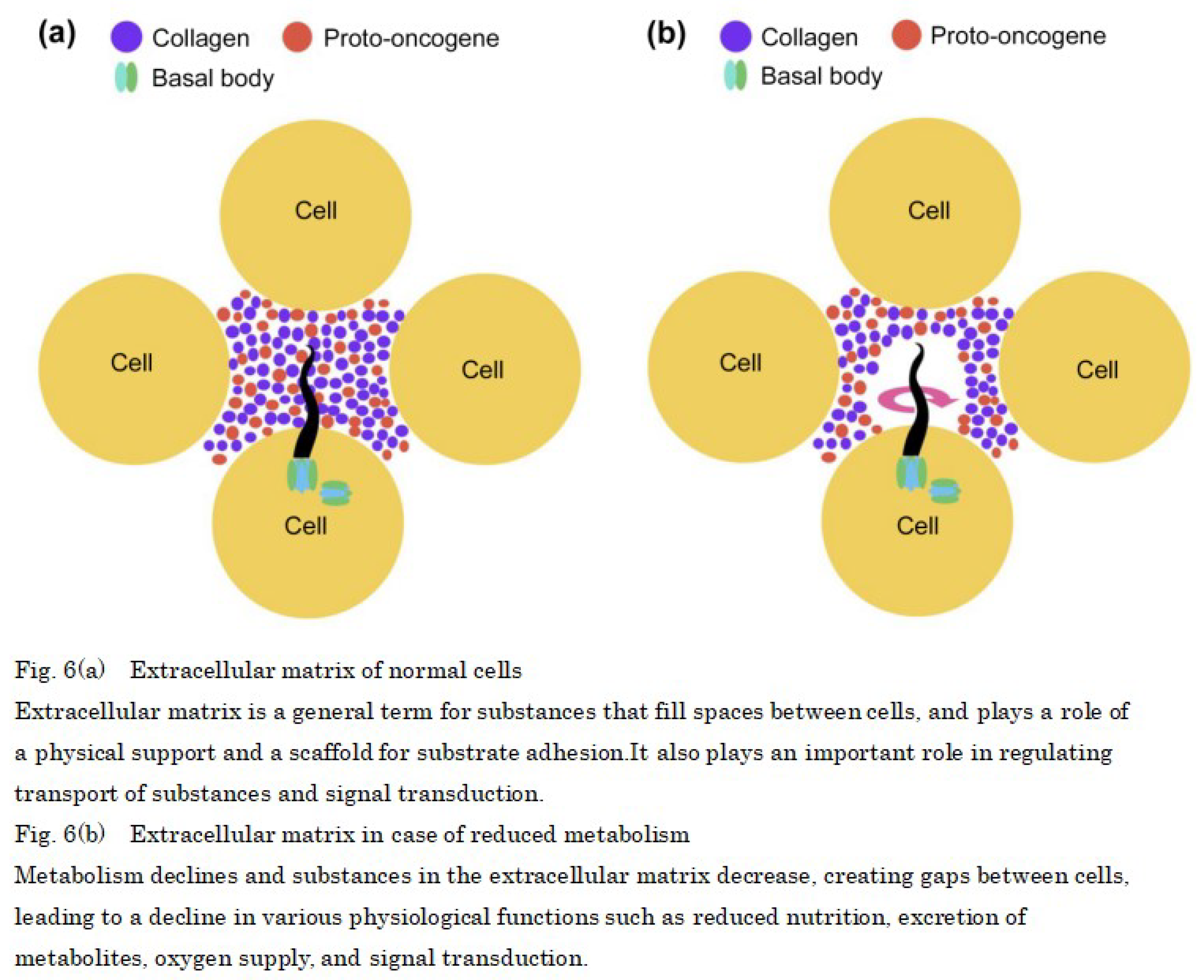 Preprints 101558 i005