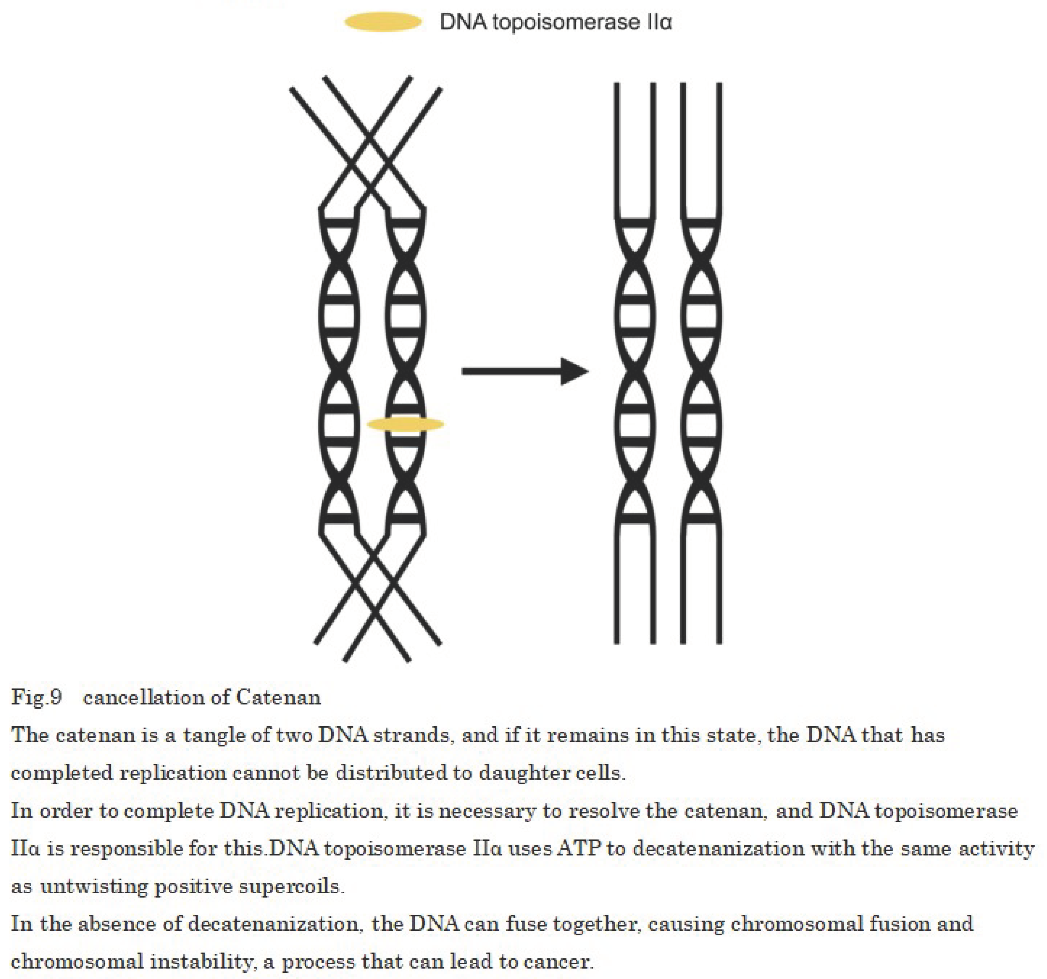 Preprints 101558 i008