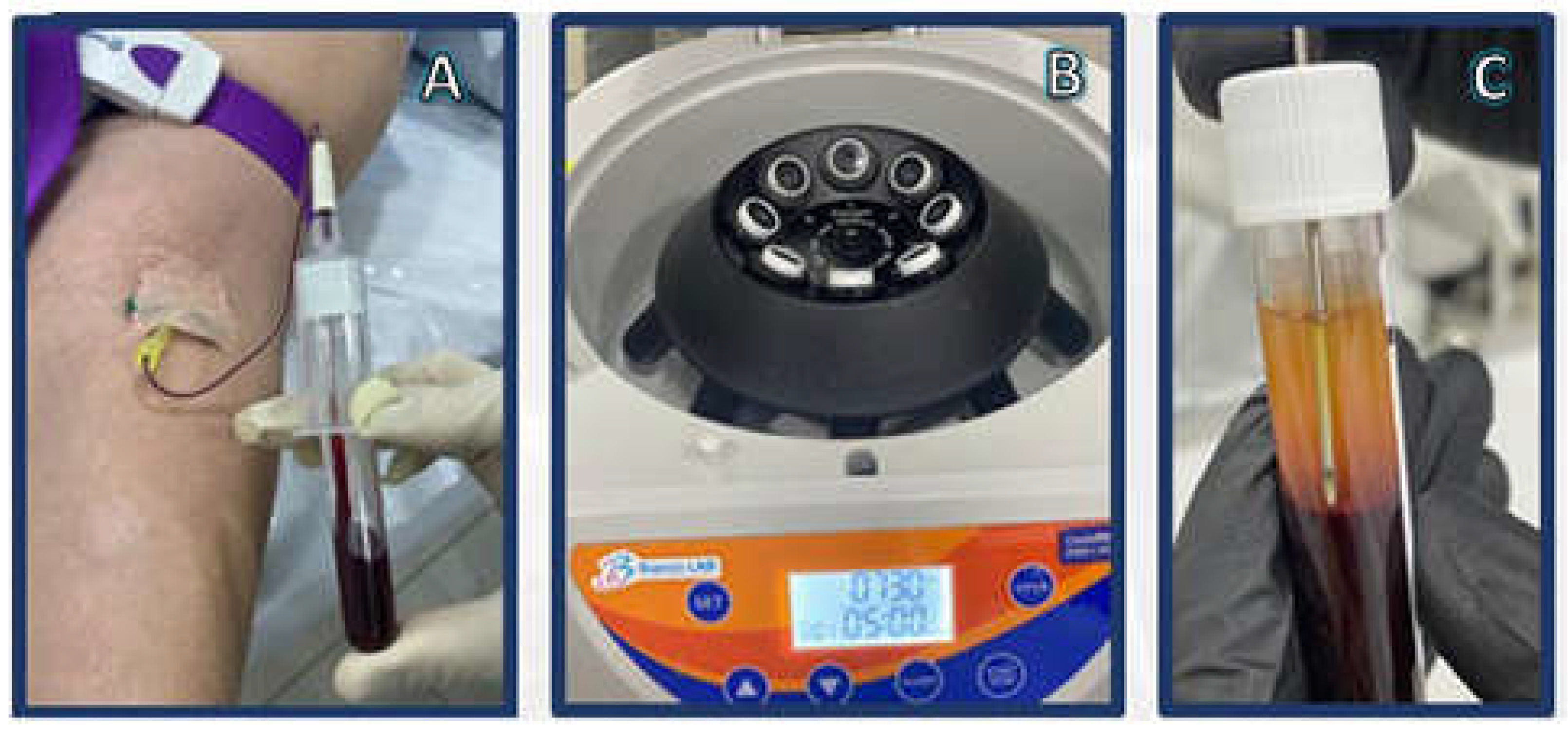 Preprints 75868 g001