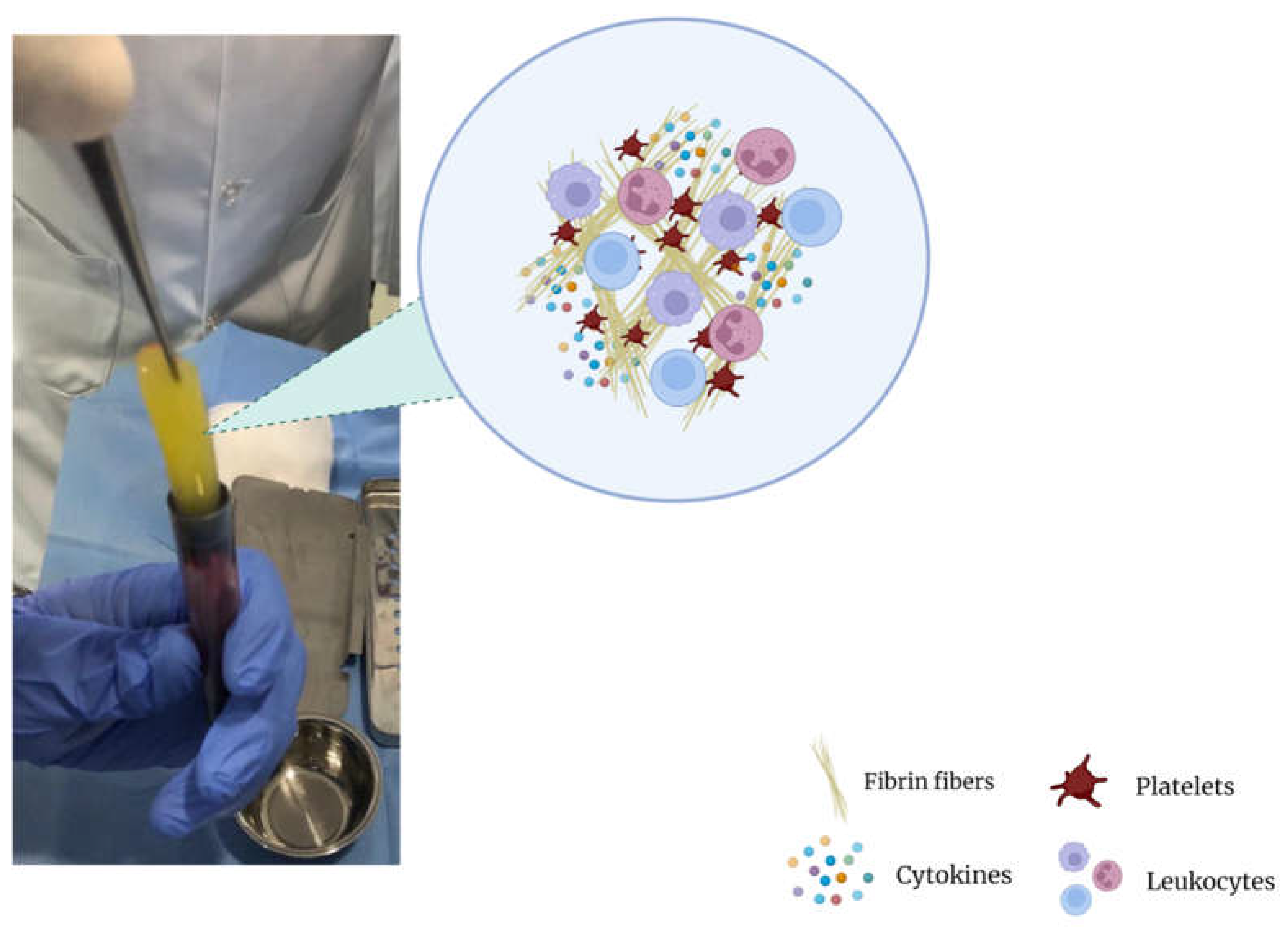 Preprints 75868 g002