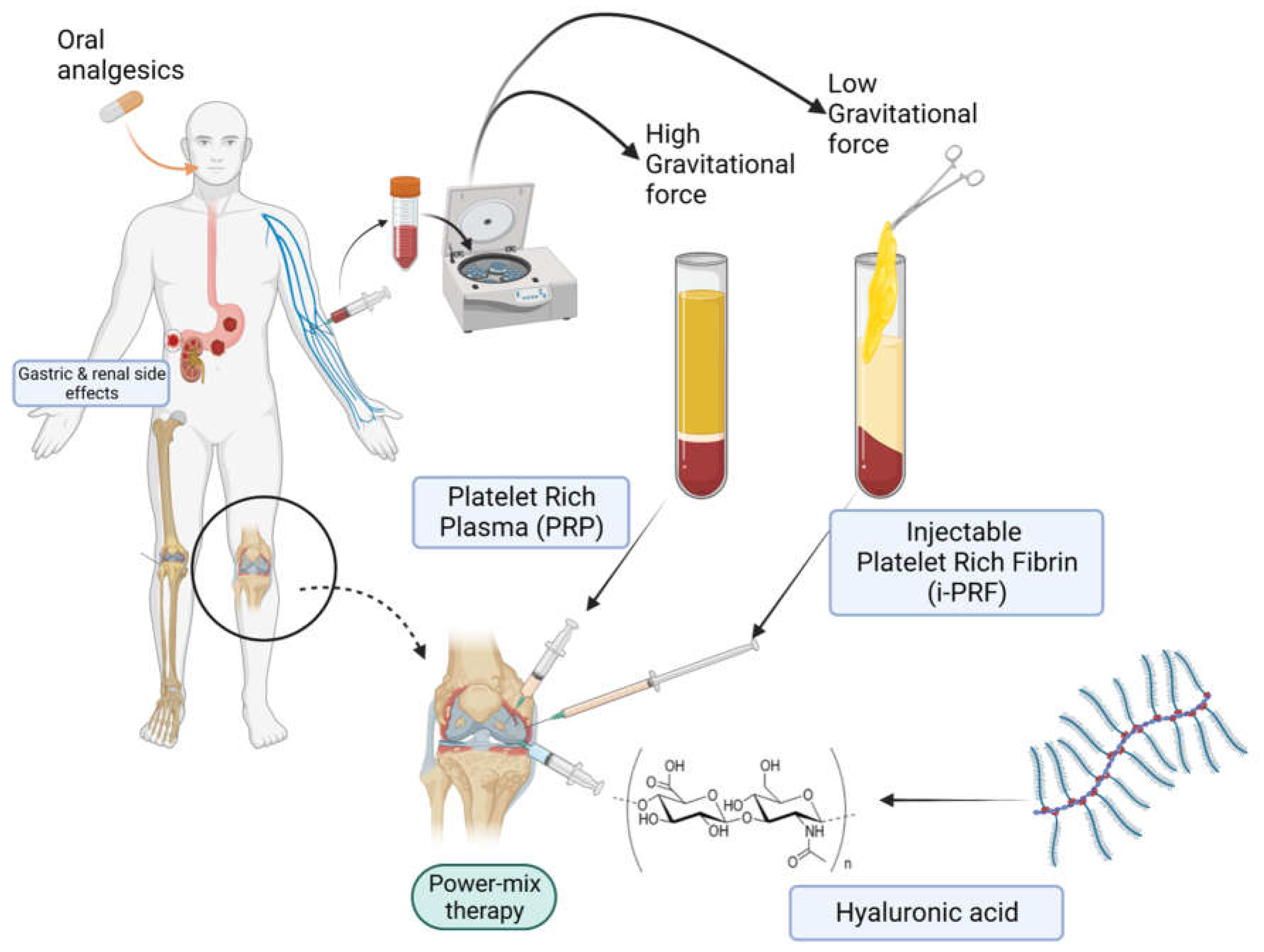 Preprints 75868 g003