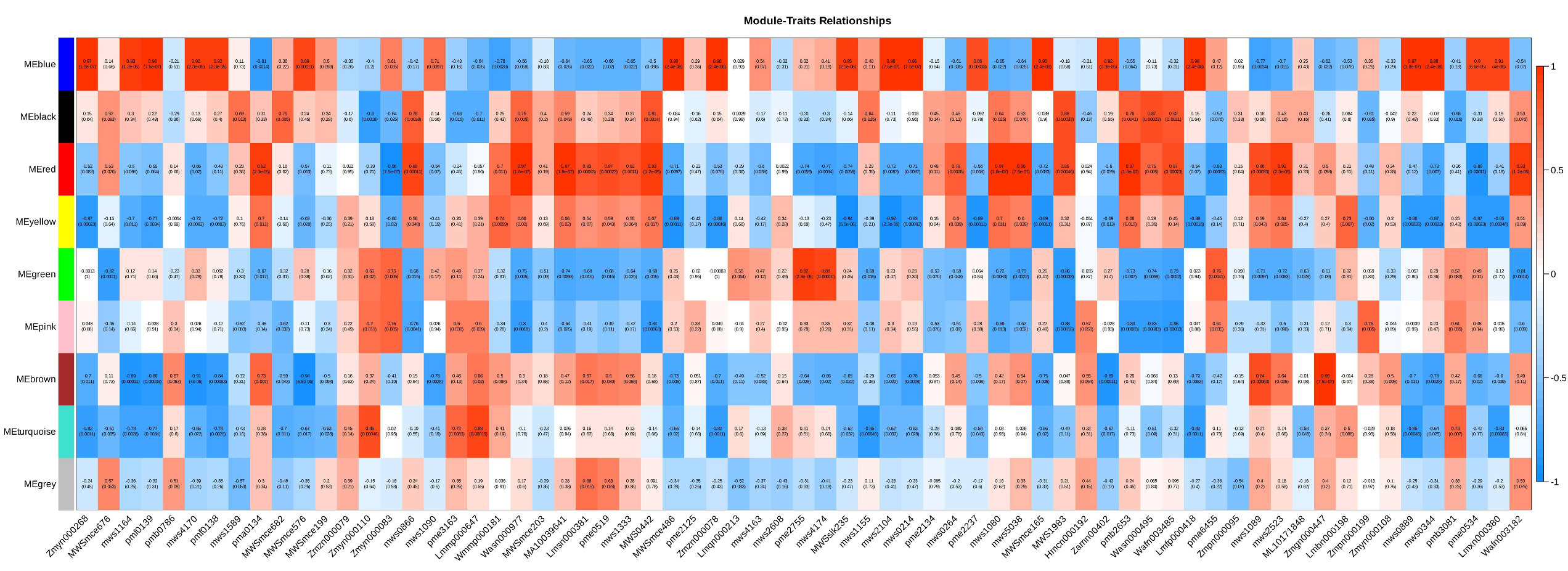 Preprints 188871 g003